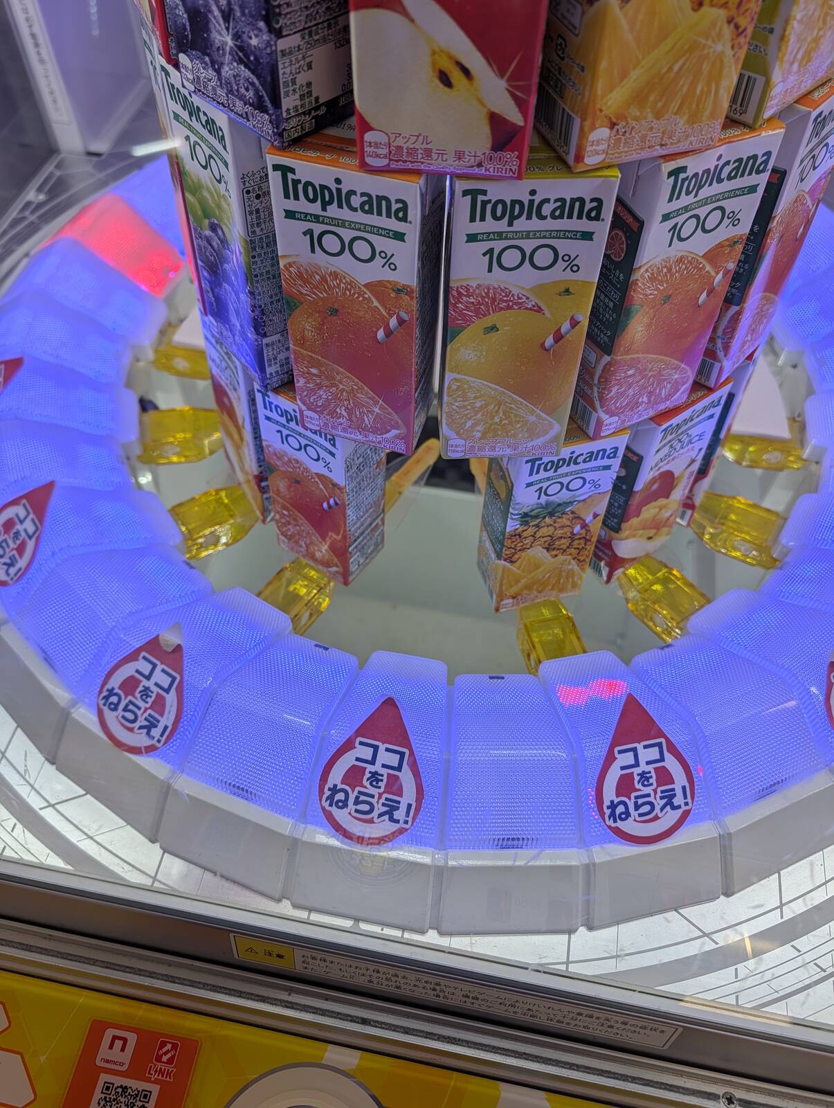 本日のアミューズメント