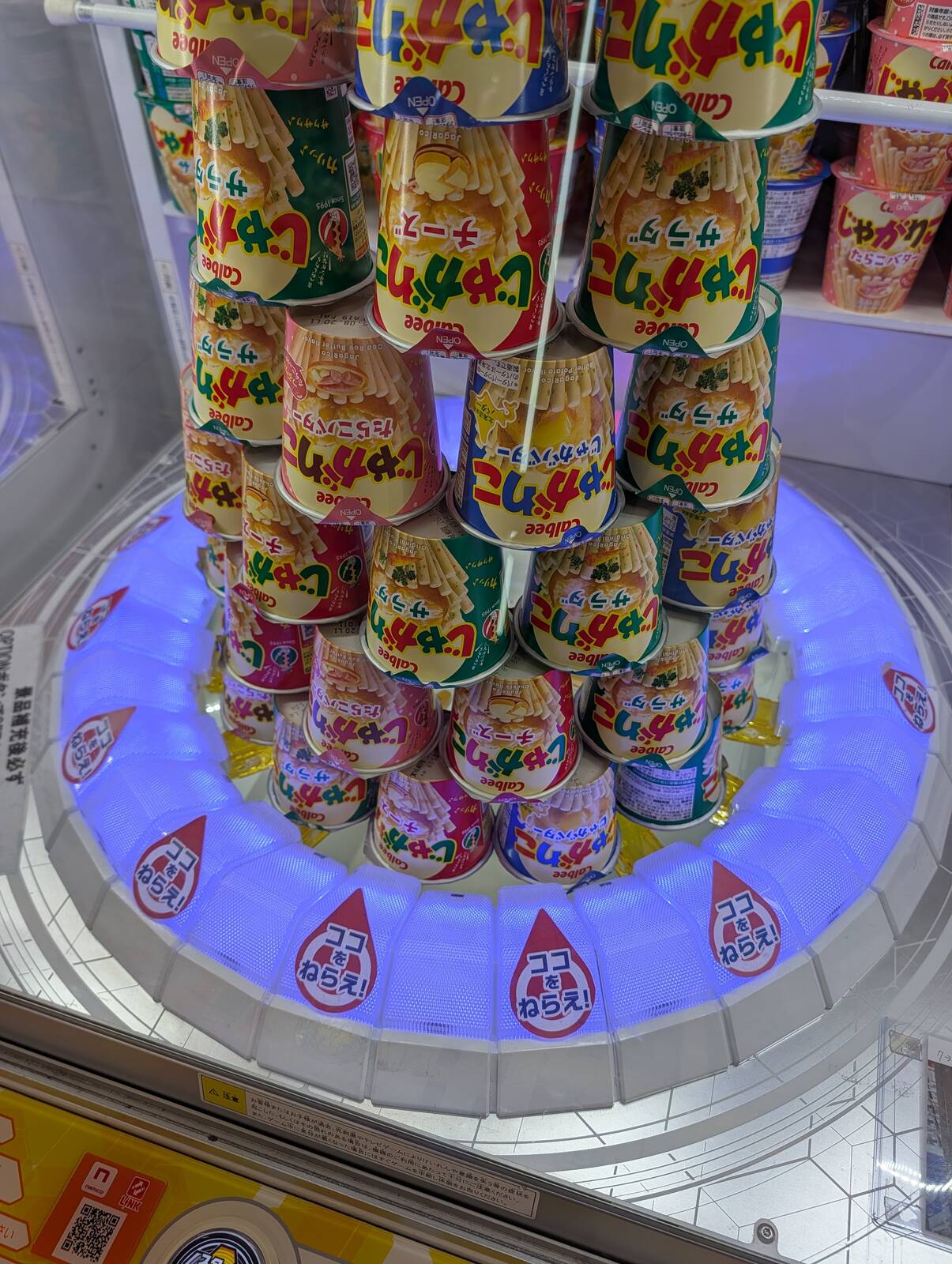 本日のアミューズメント