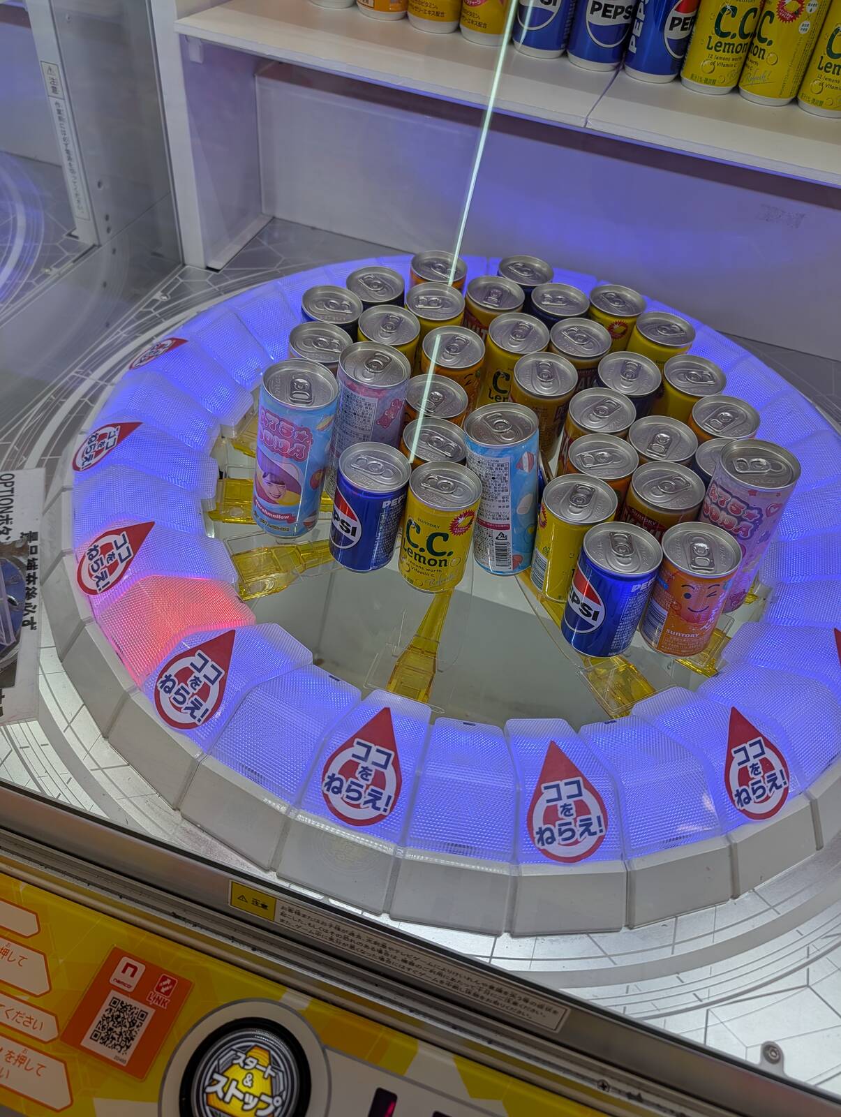 本日のアミューズメント
