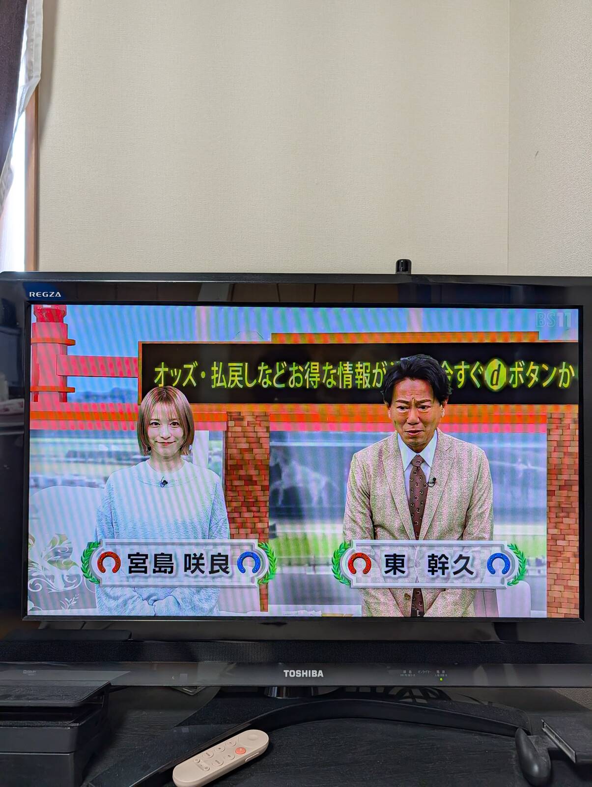 本日のイレブン競馬