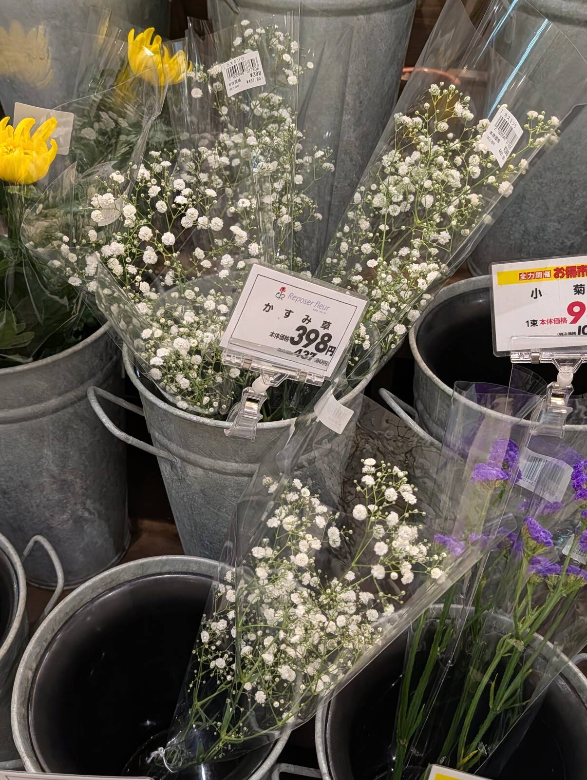 かすみ草