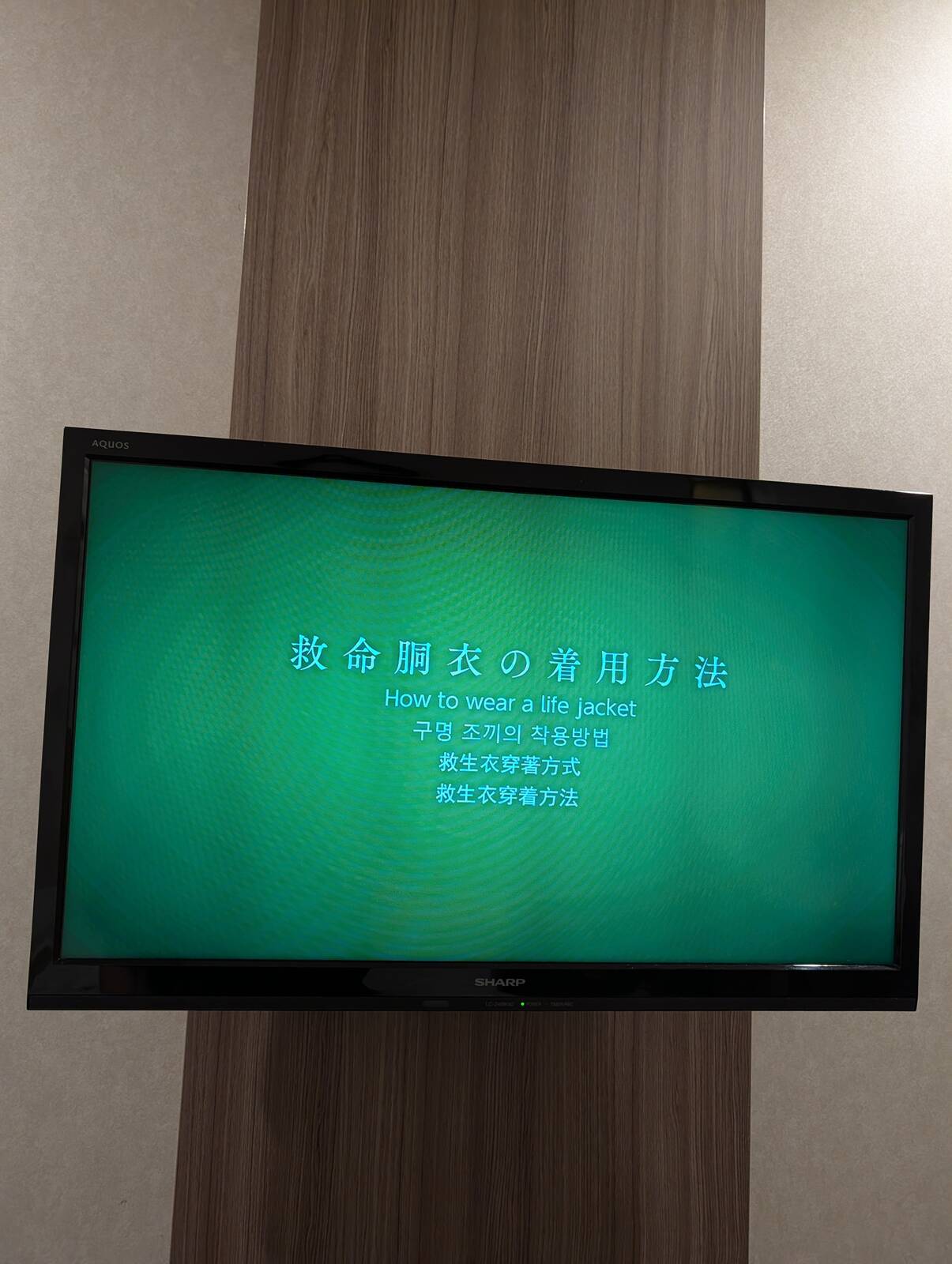 救命胴衣の着用方法