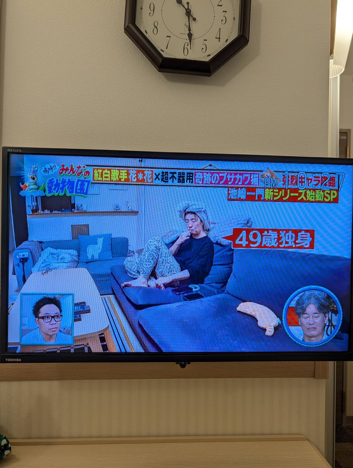 49歳独身