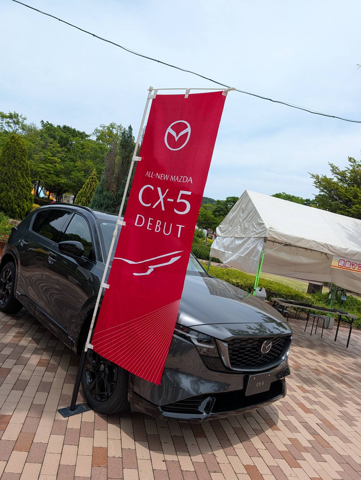 車の展示