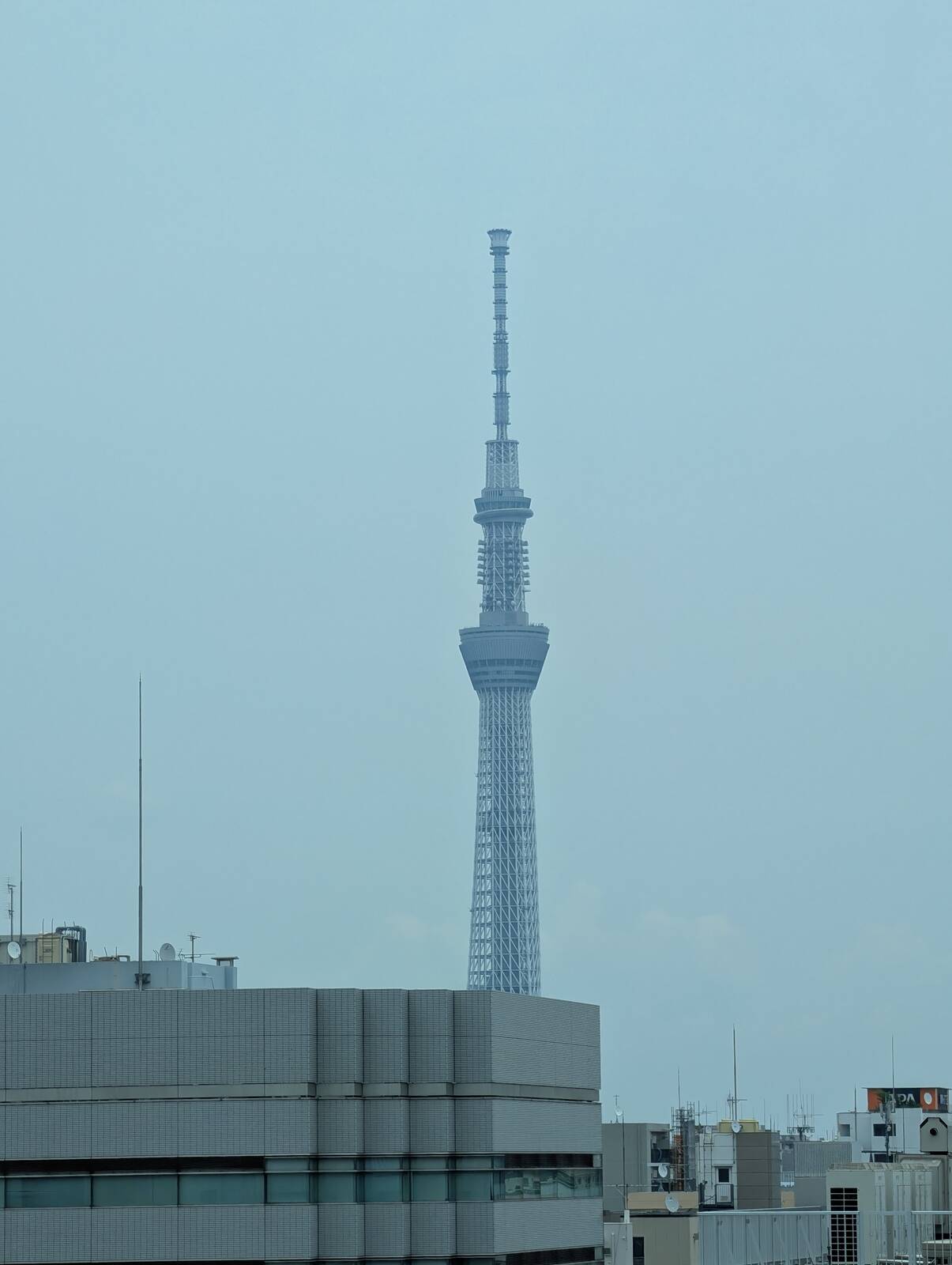 スカイツリー