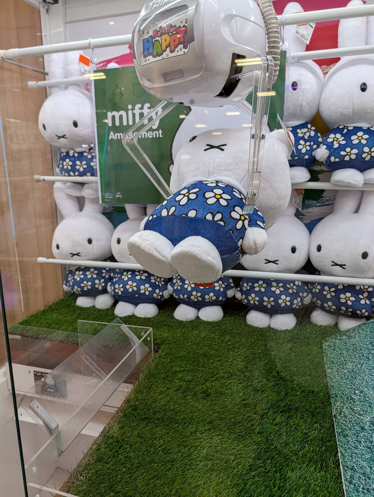本日のアミューズメント
