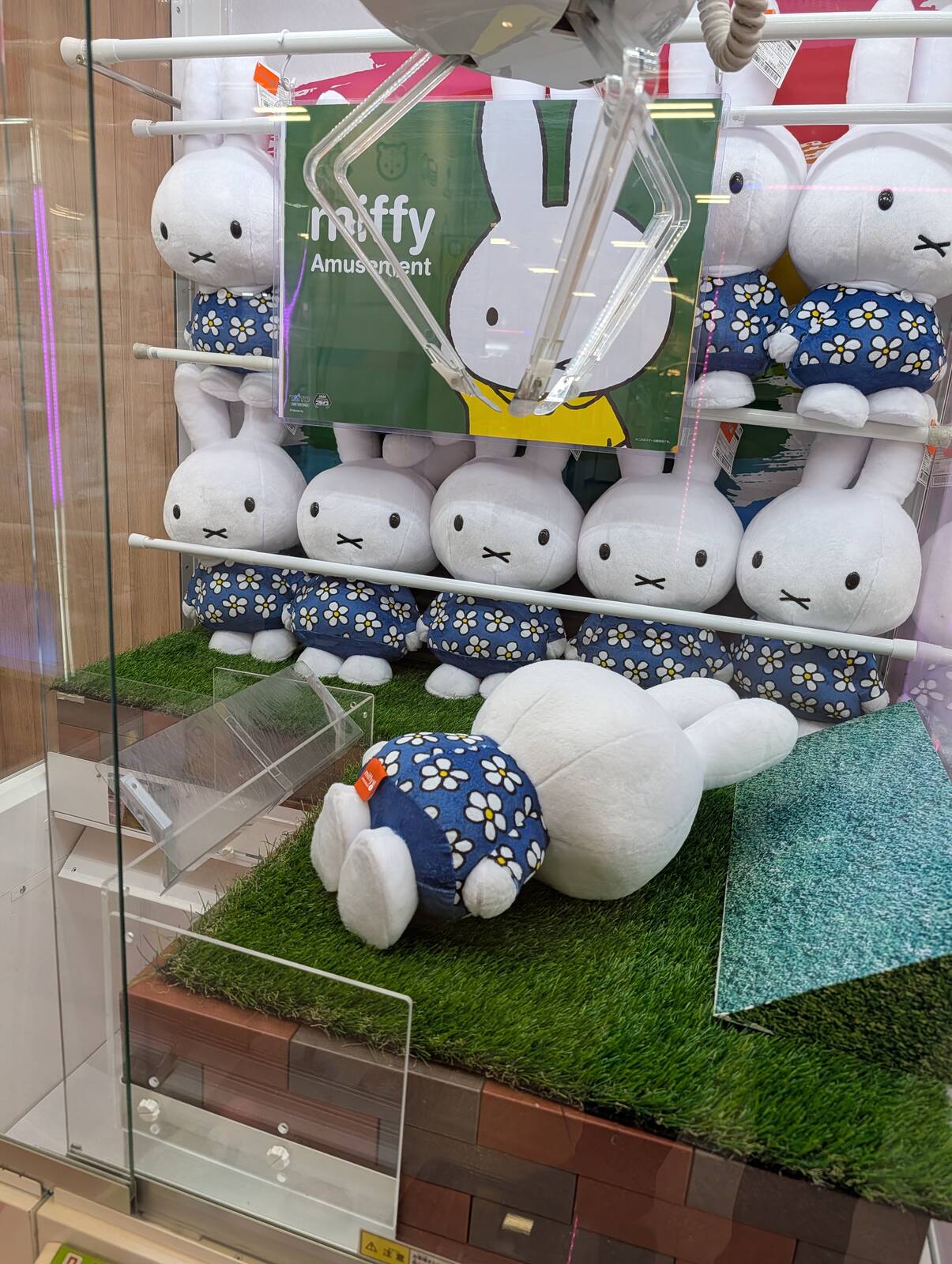 言わんこっちゃない