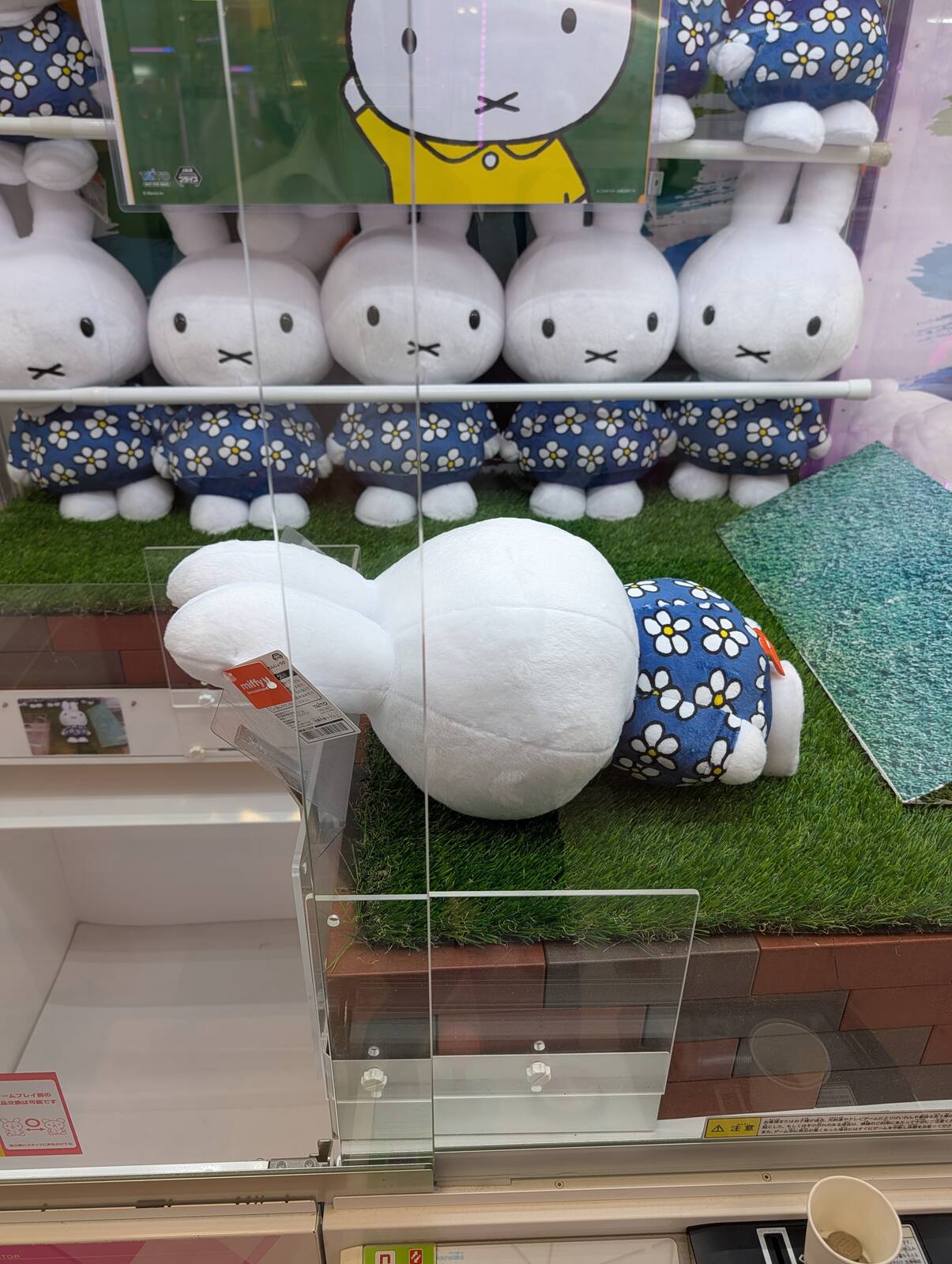 伏せ寝