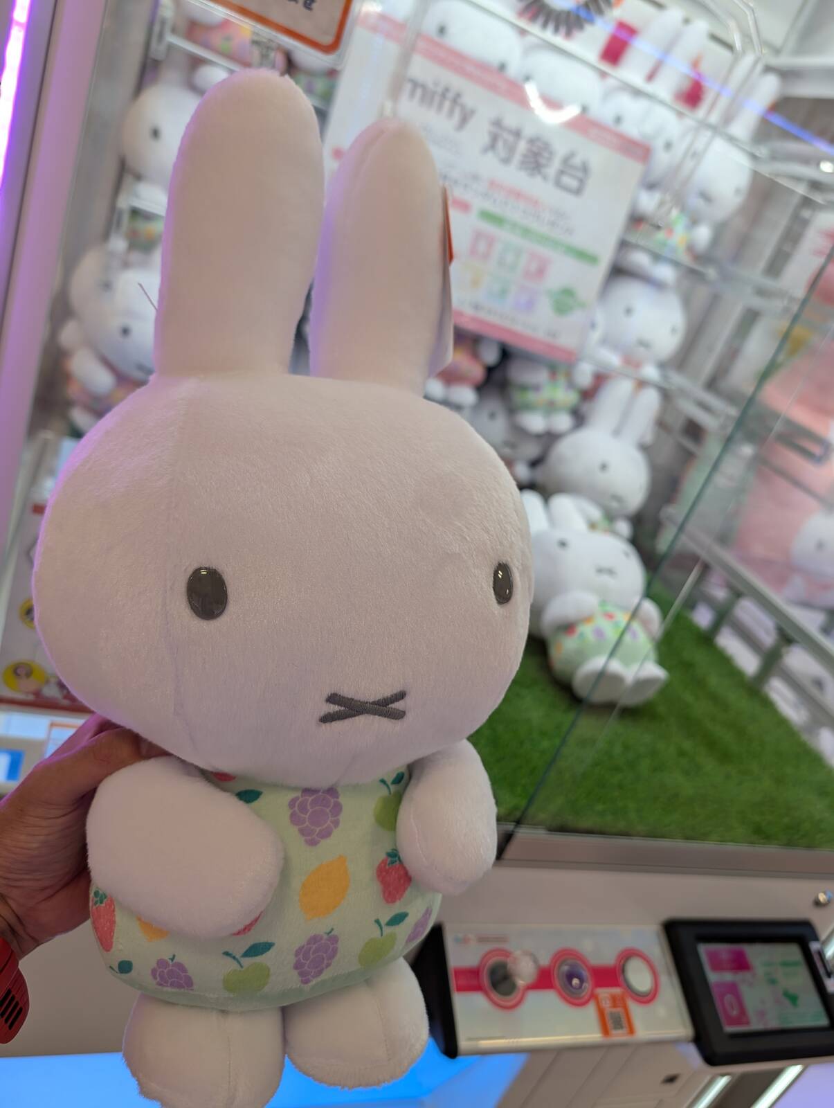 本日のミッフィーちゃん