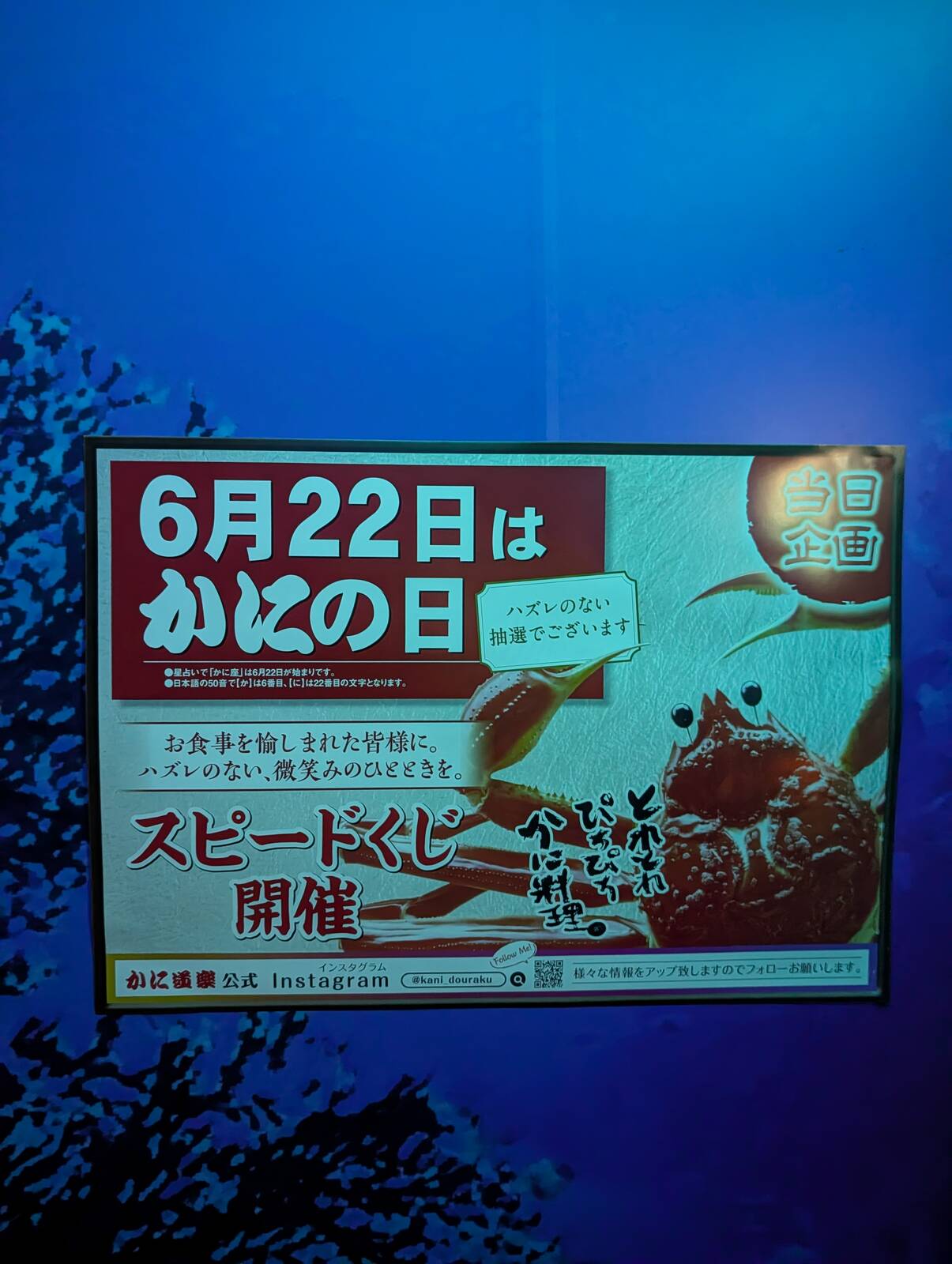 6月22日はかにの日
