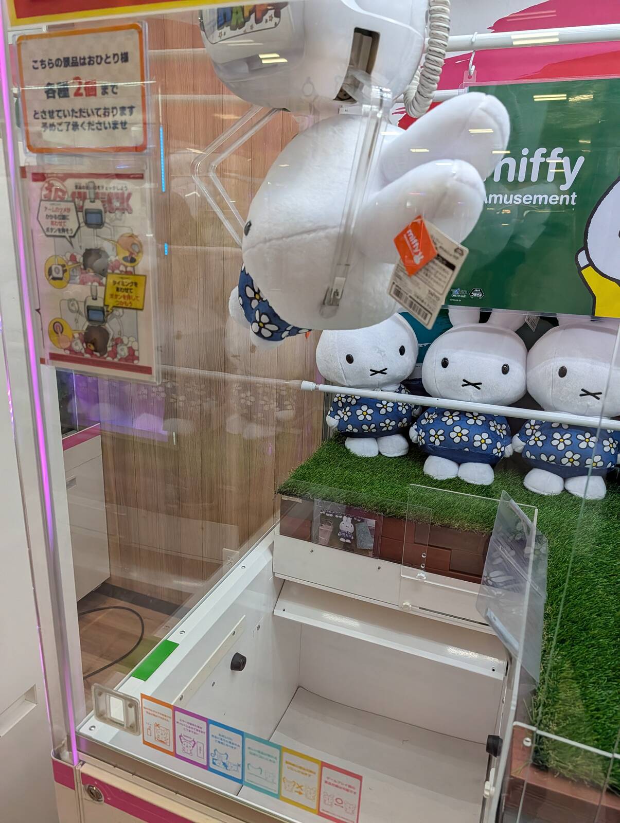 本日のアミューズメント