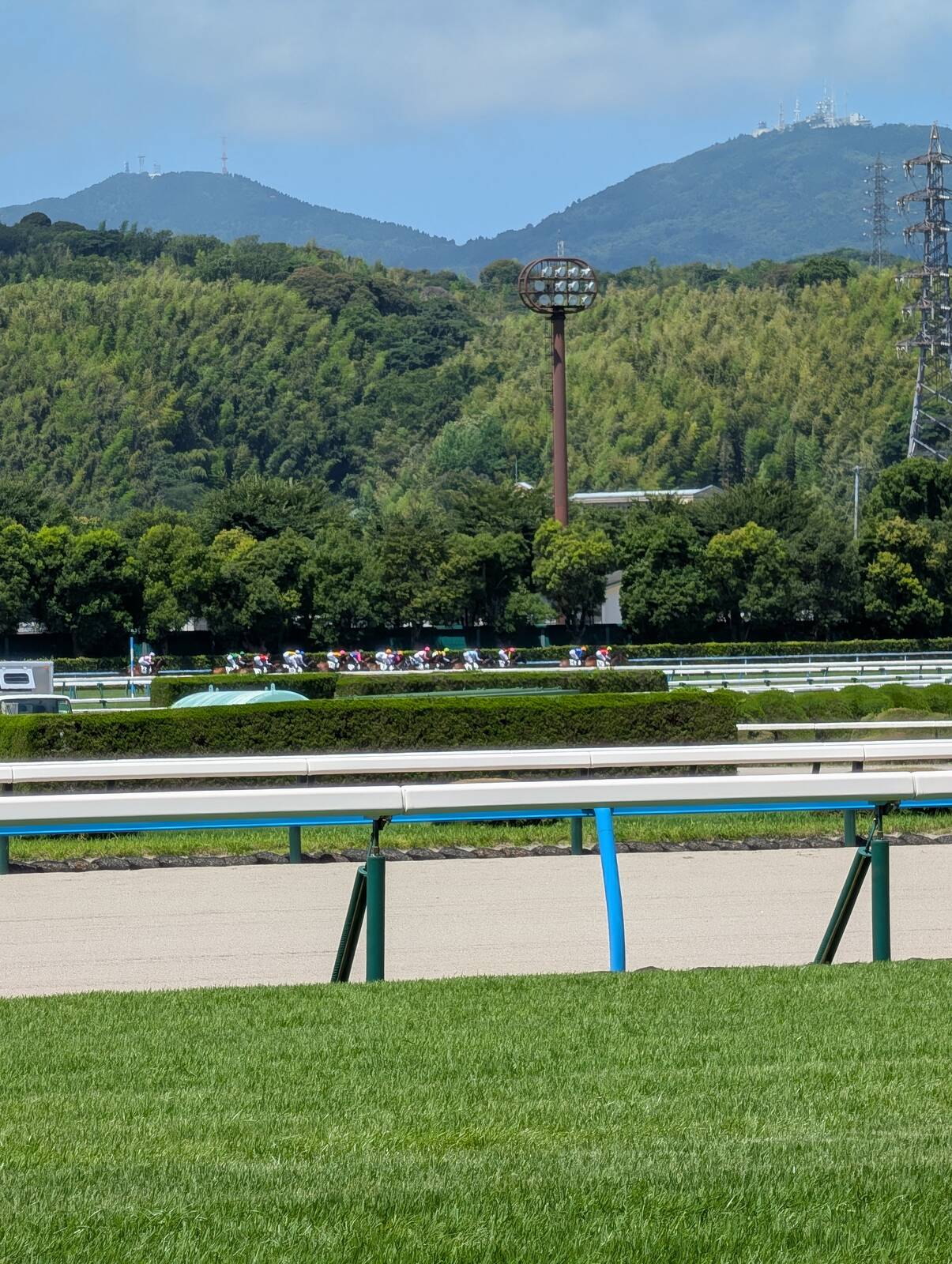 向こう正面