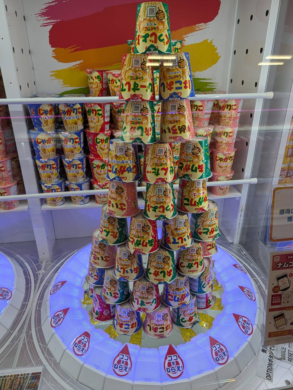 本日のアミューズメント