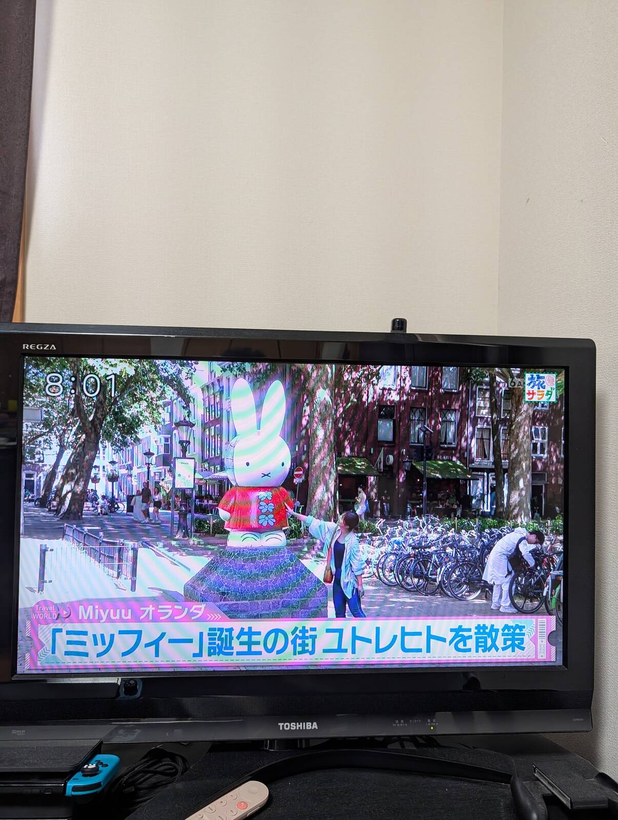 本日の旅サラダ