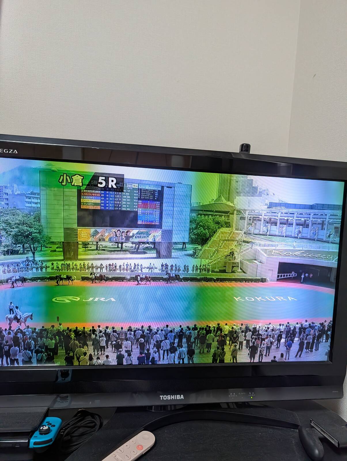小倉競馬場のパドック