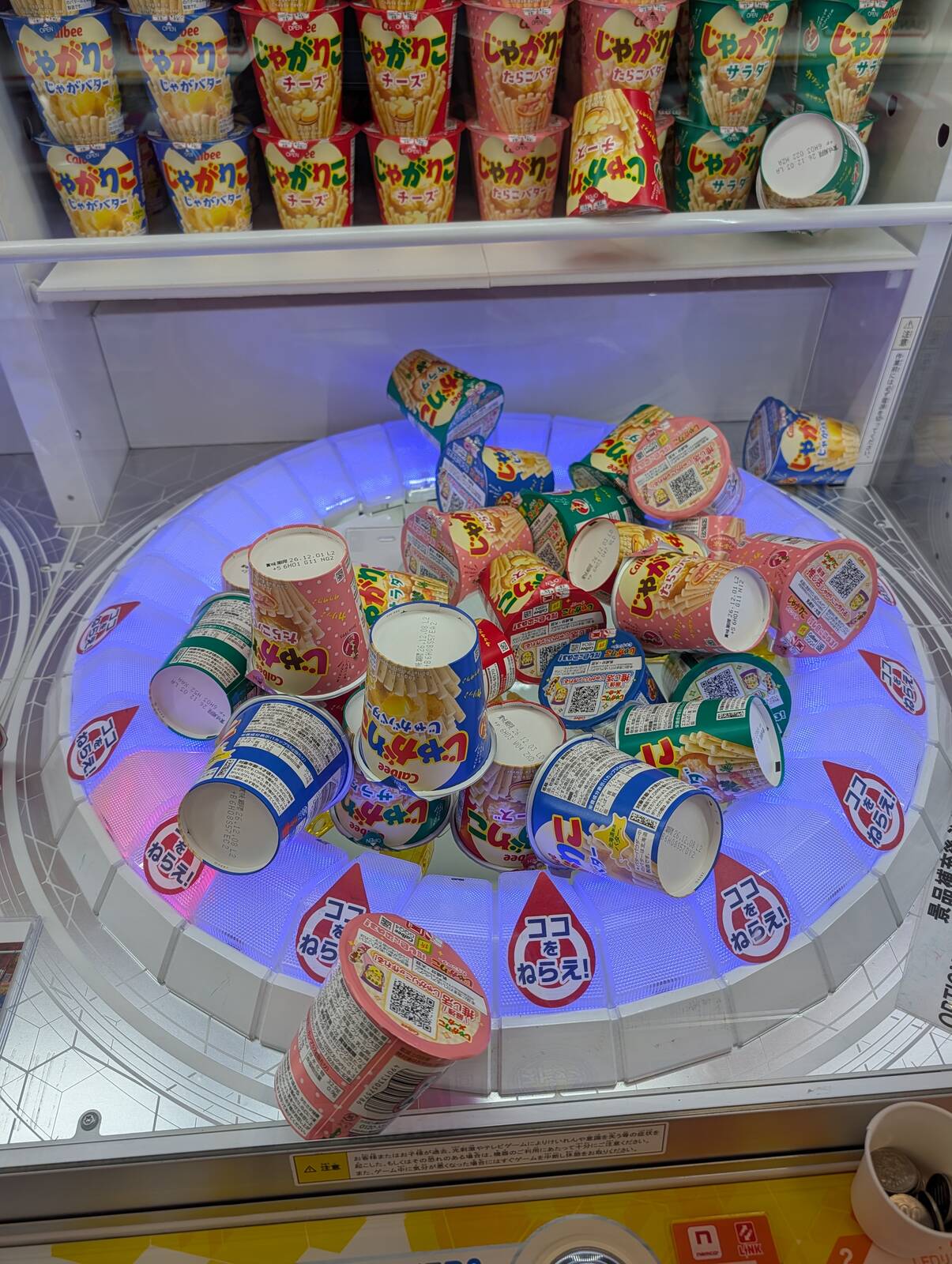 本日のアミューズメント