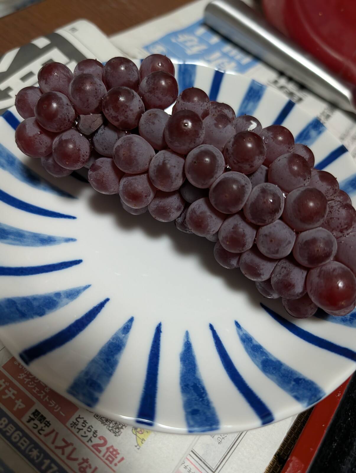 今月のふるさと納税返礼品