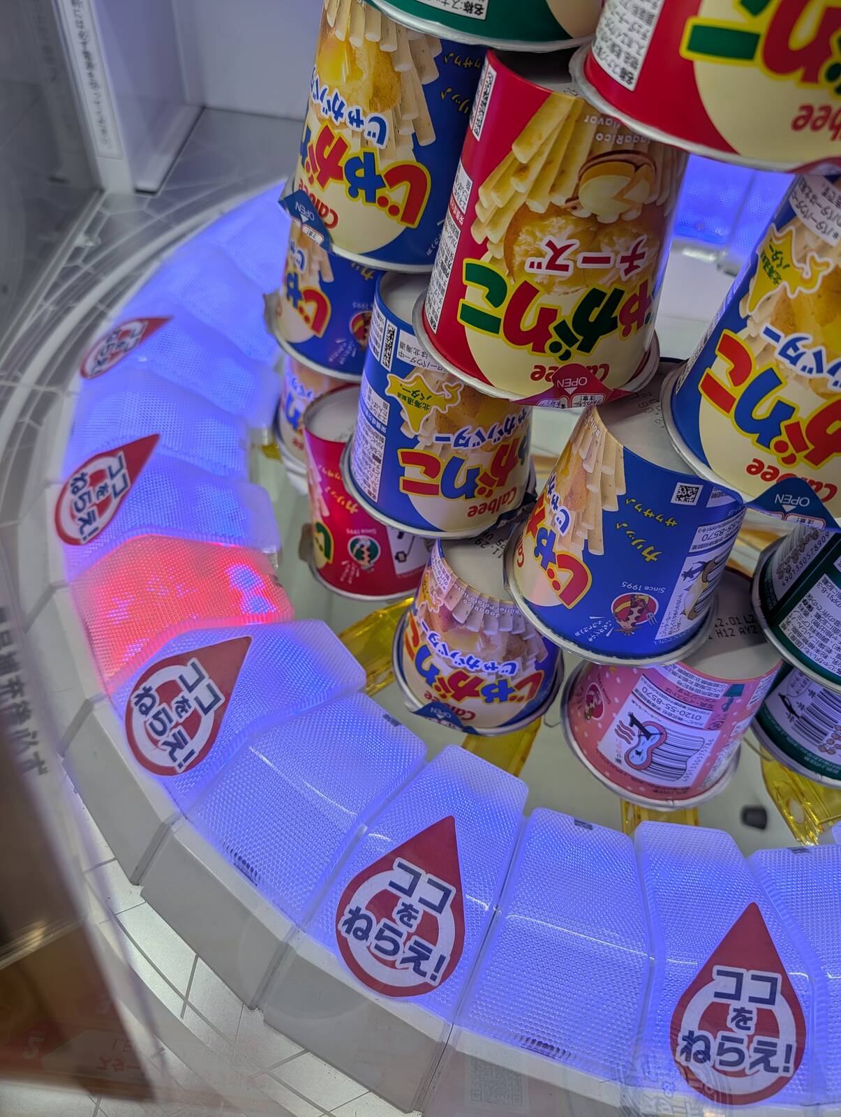 本日のアミューズメント