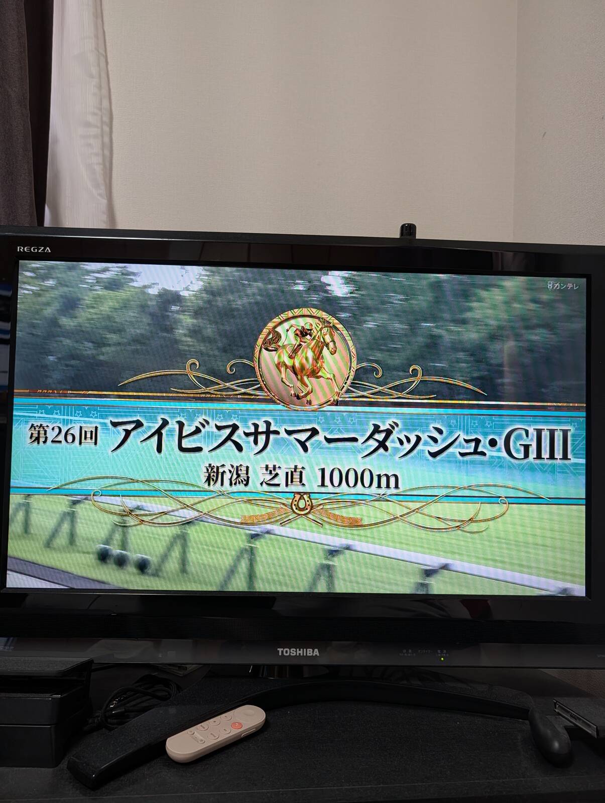 アイビスサマーダッシュ