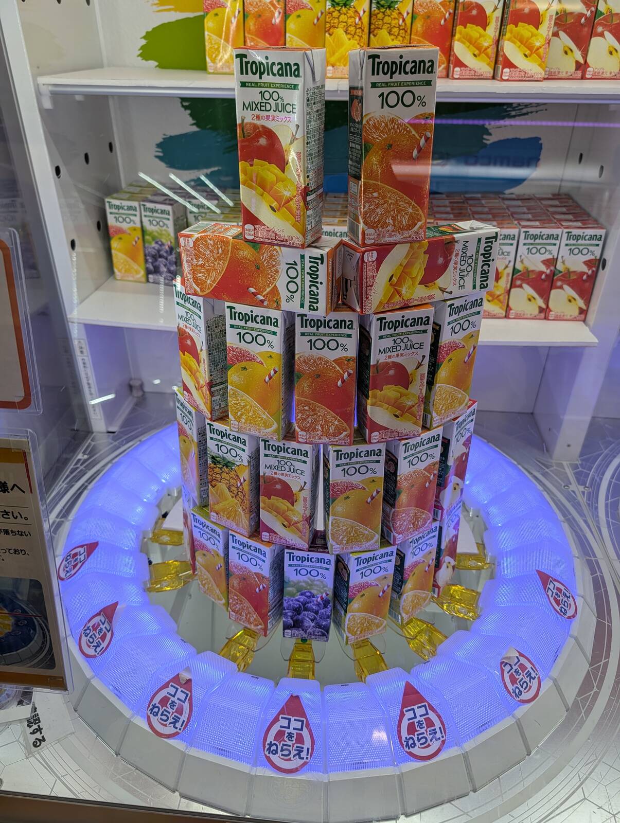 本日のアミューズメント