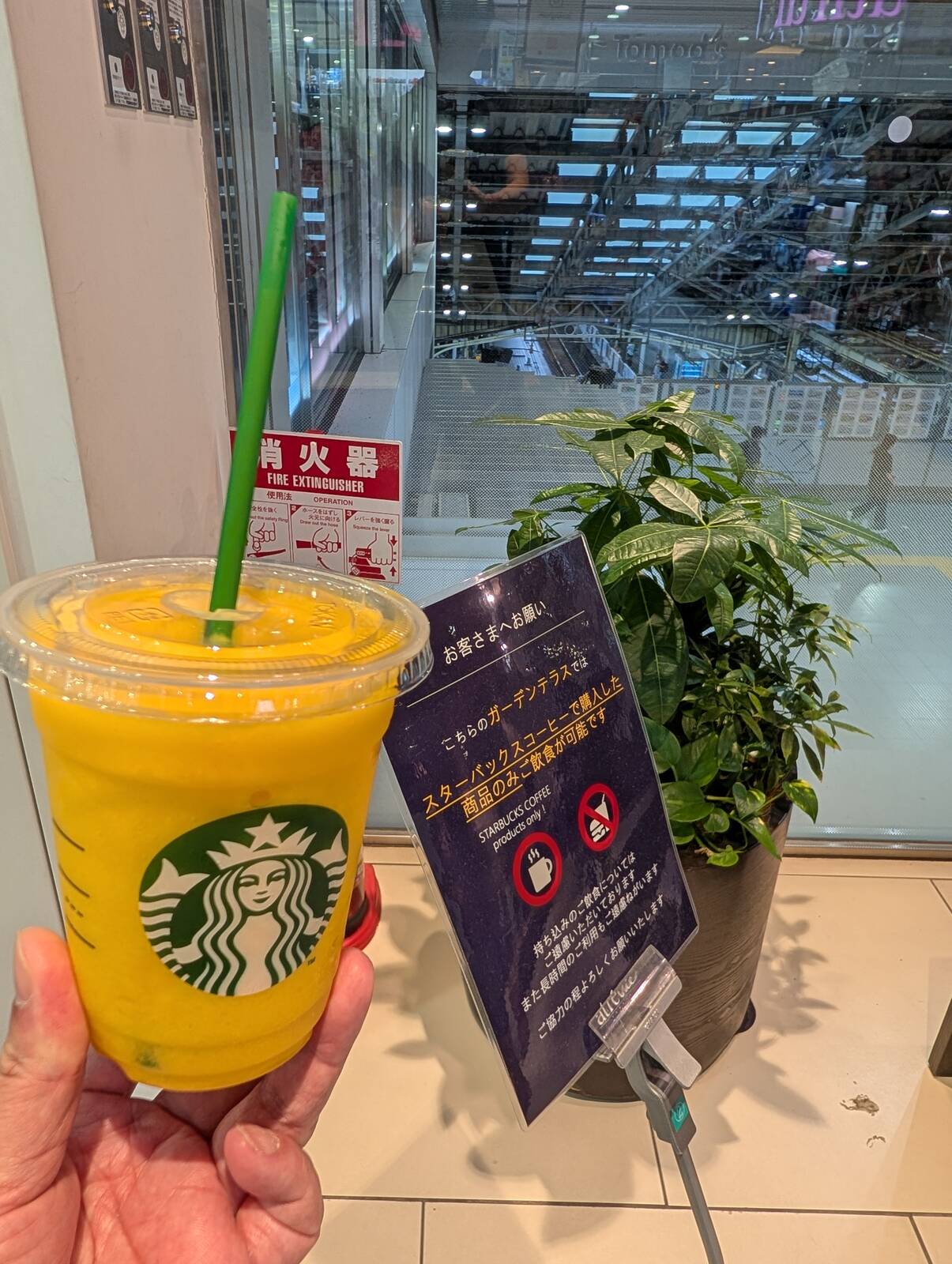 本日のスタバ