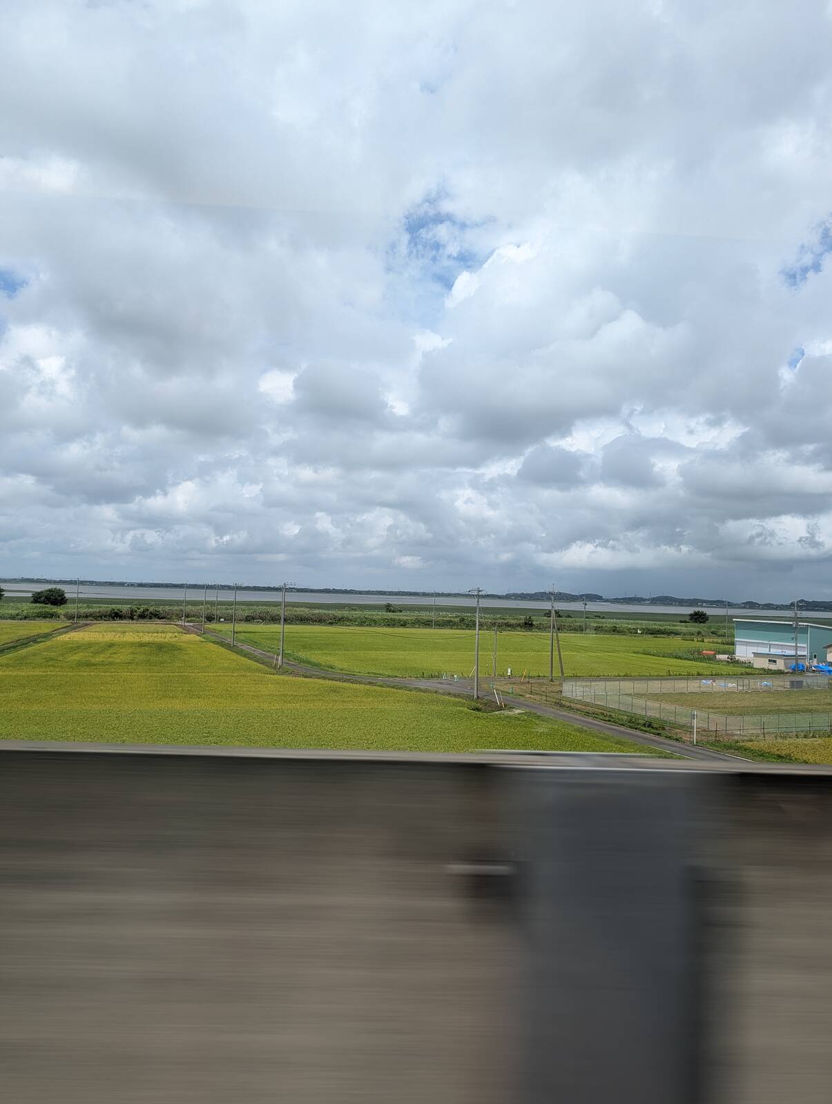 印旛沼