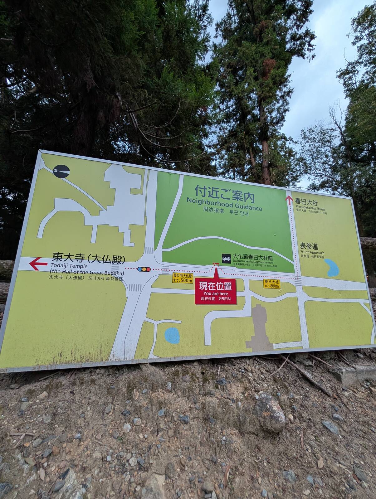 付近ご案内