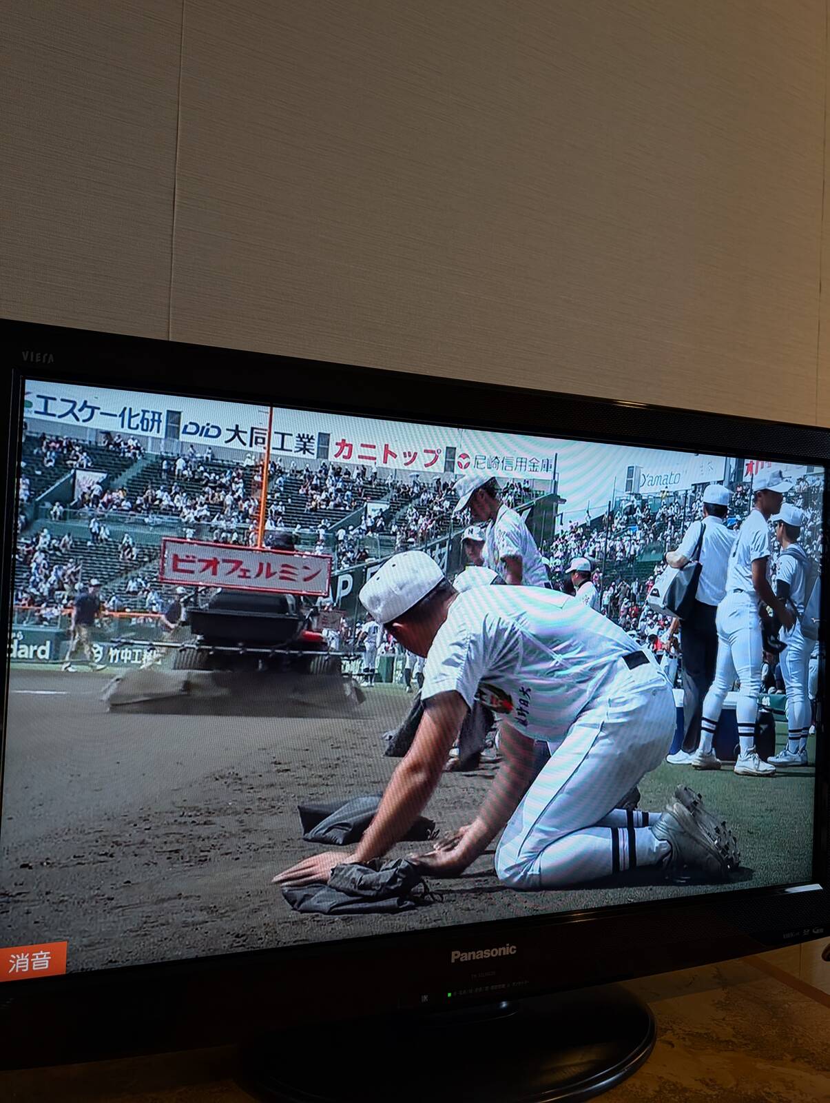 甲子園の土