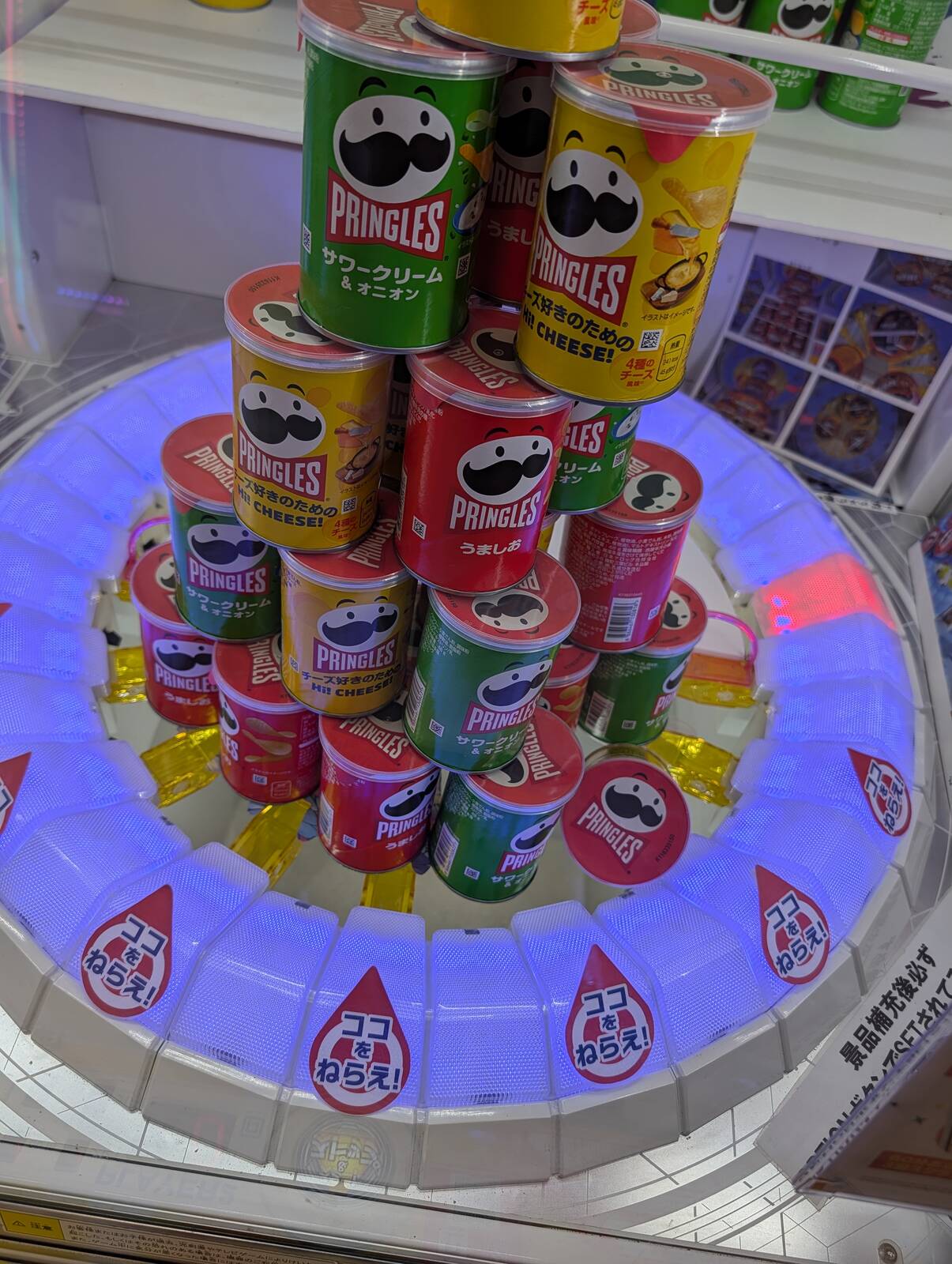本日のアミューズメント