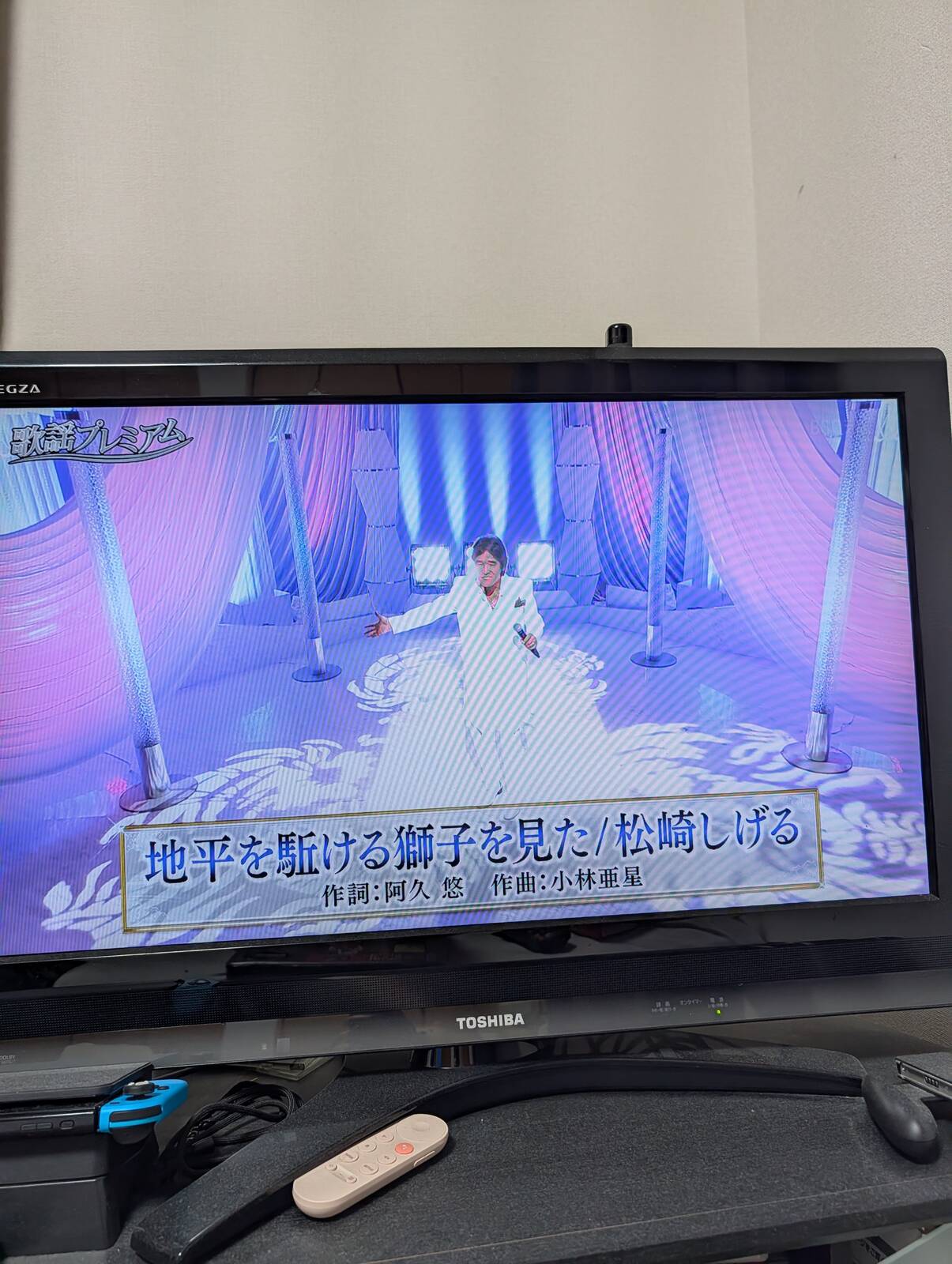 地平を駈ける獅子を見た
