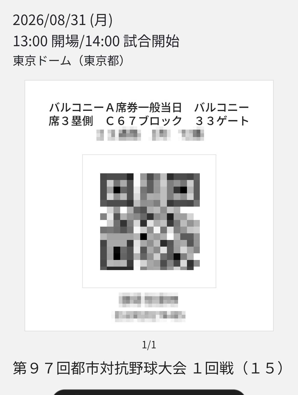 本日の入場券