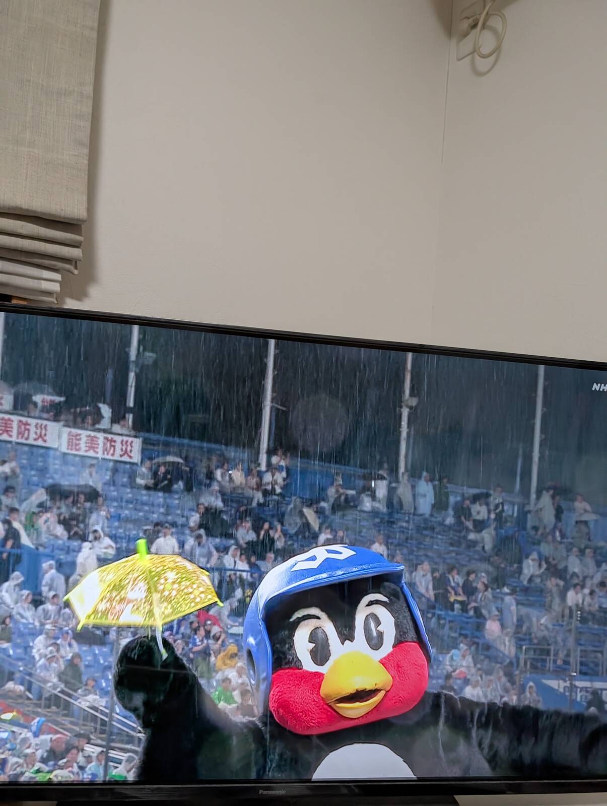 本日の神宮球場