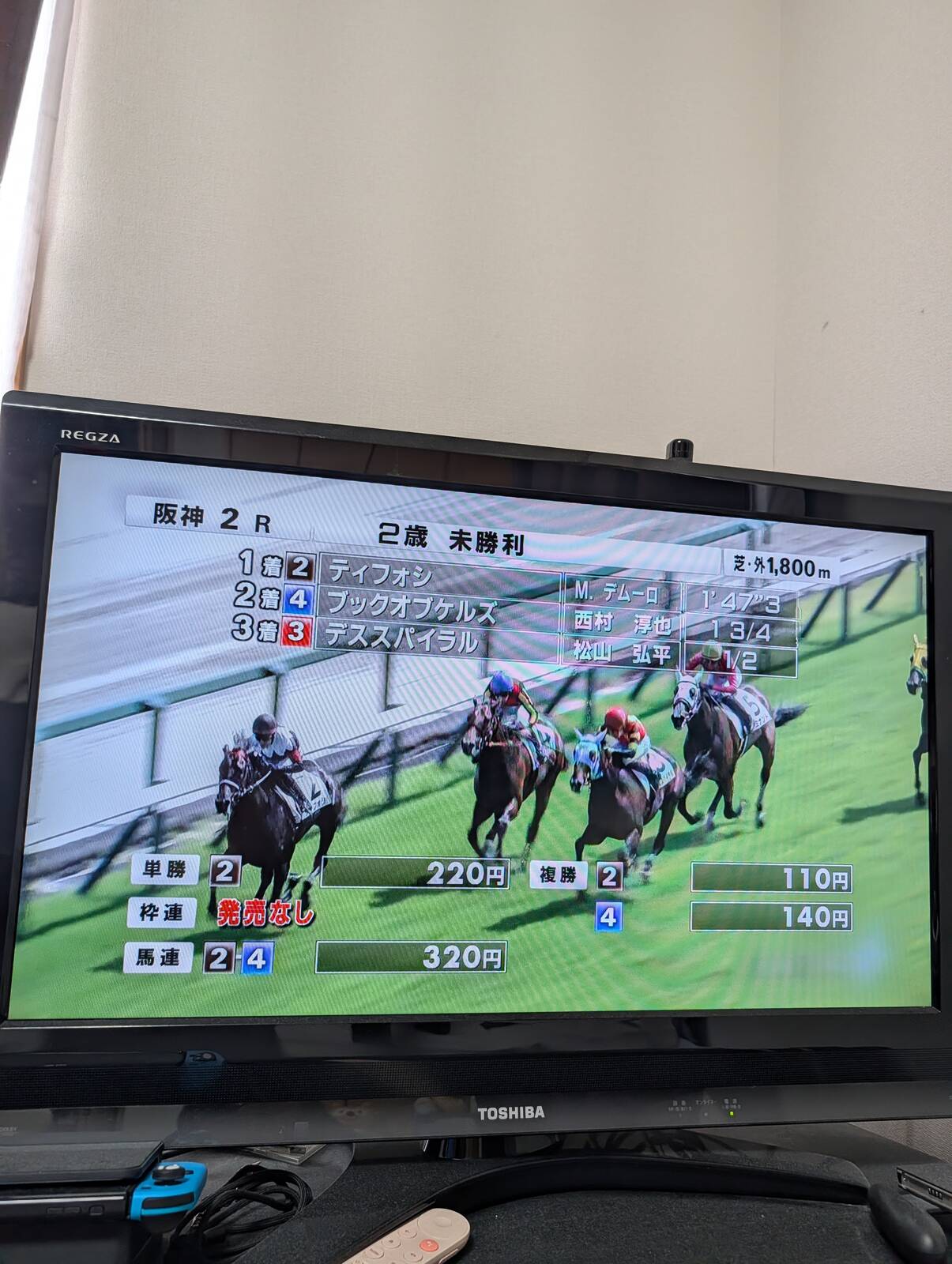５頭立てレース