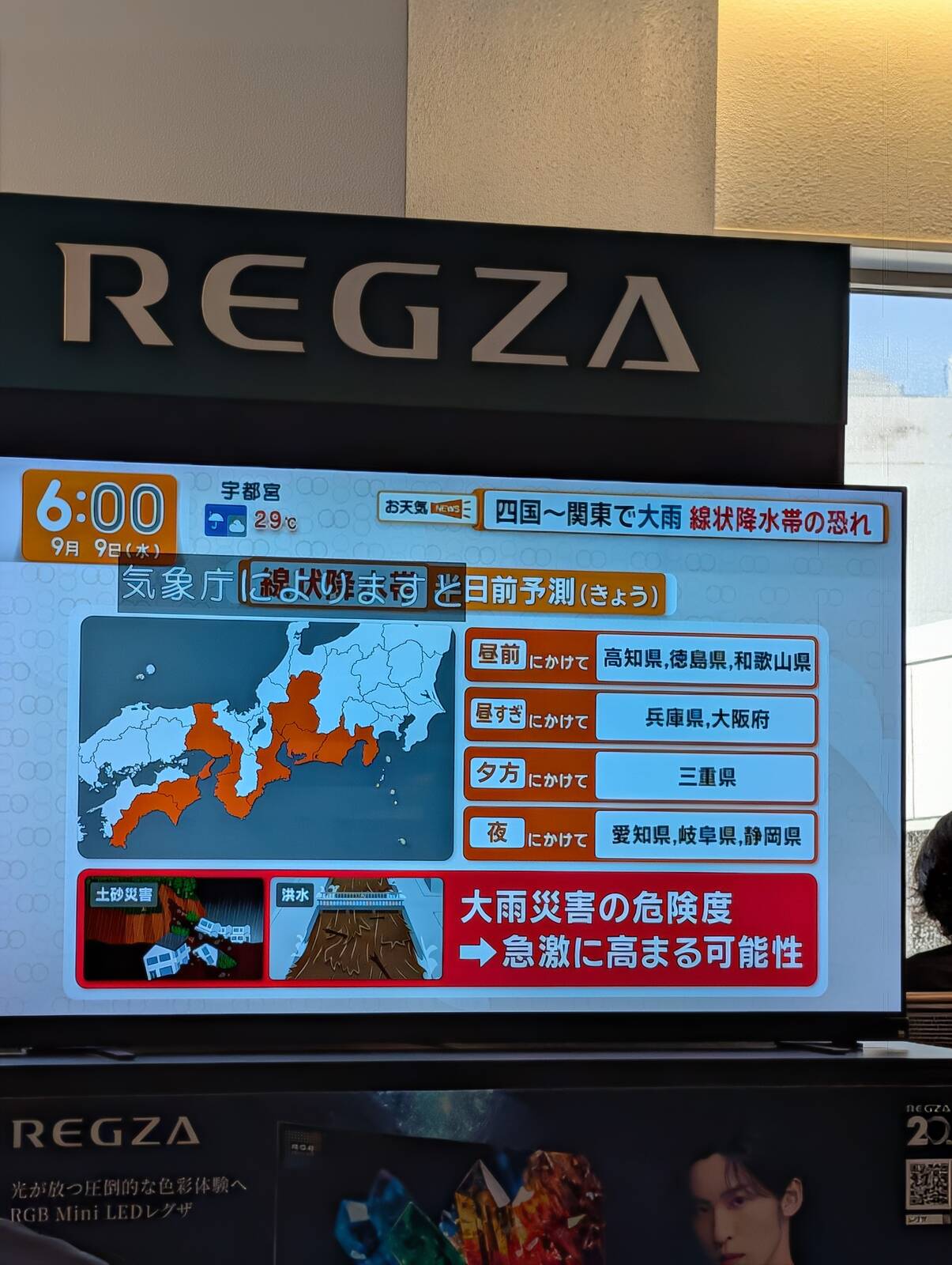 半日前予想