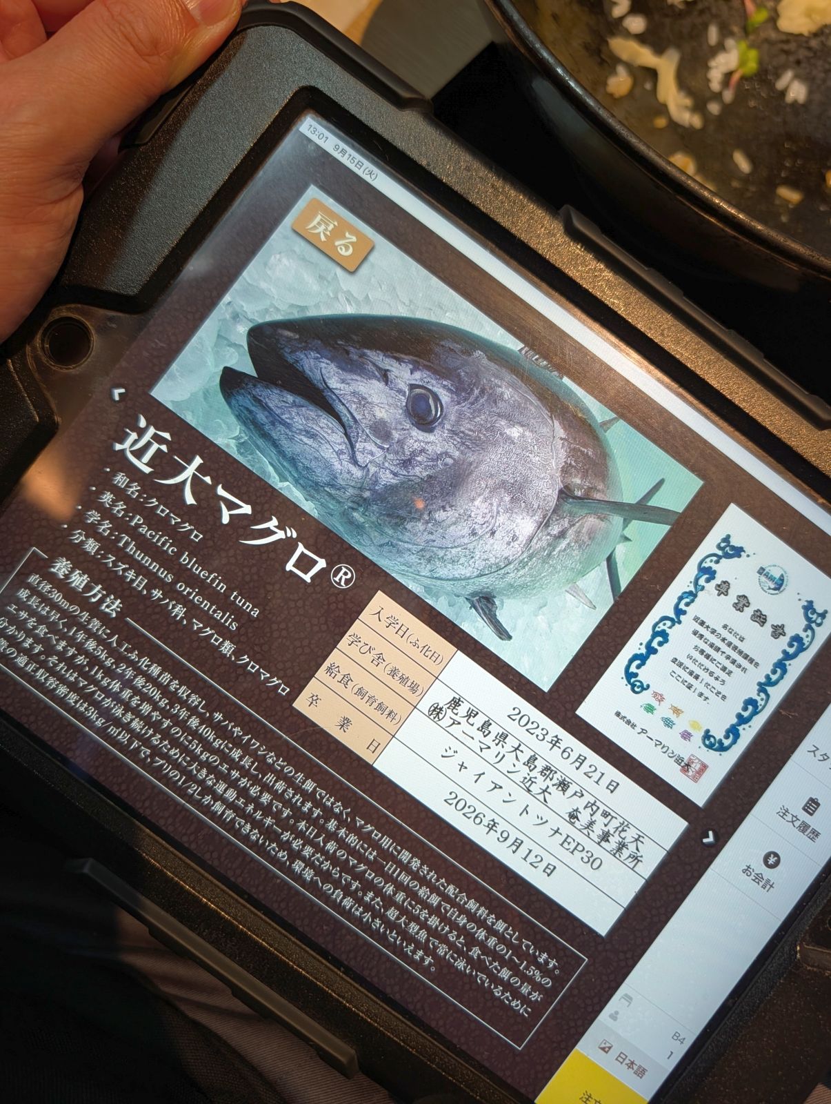 近大マグロ