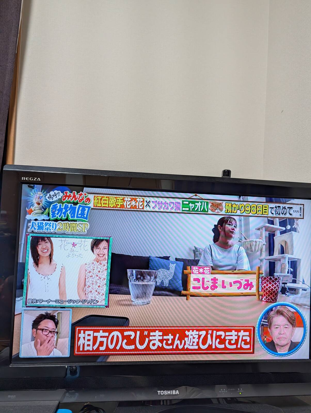 相方の御出演