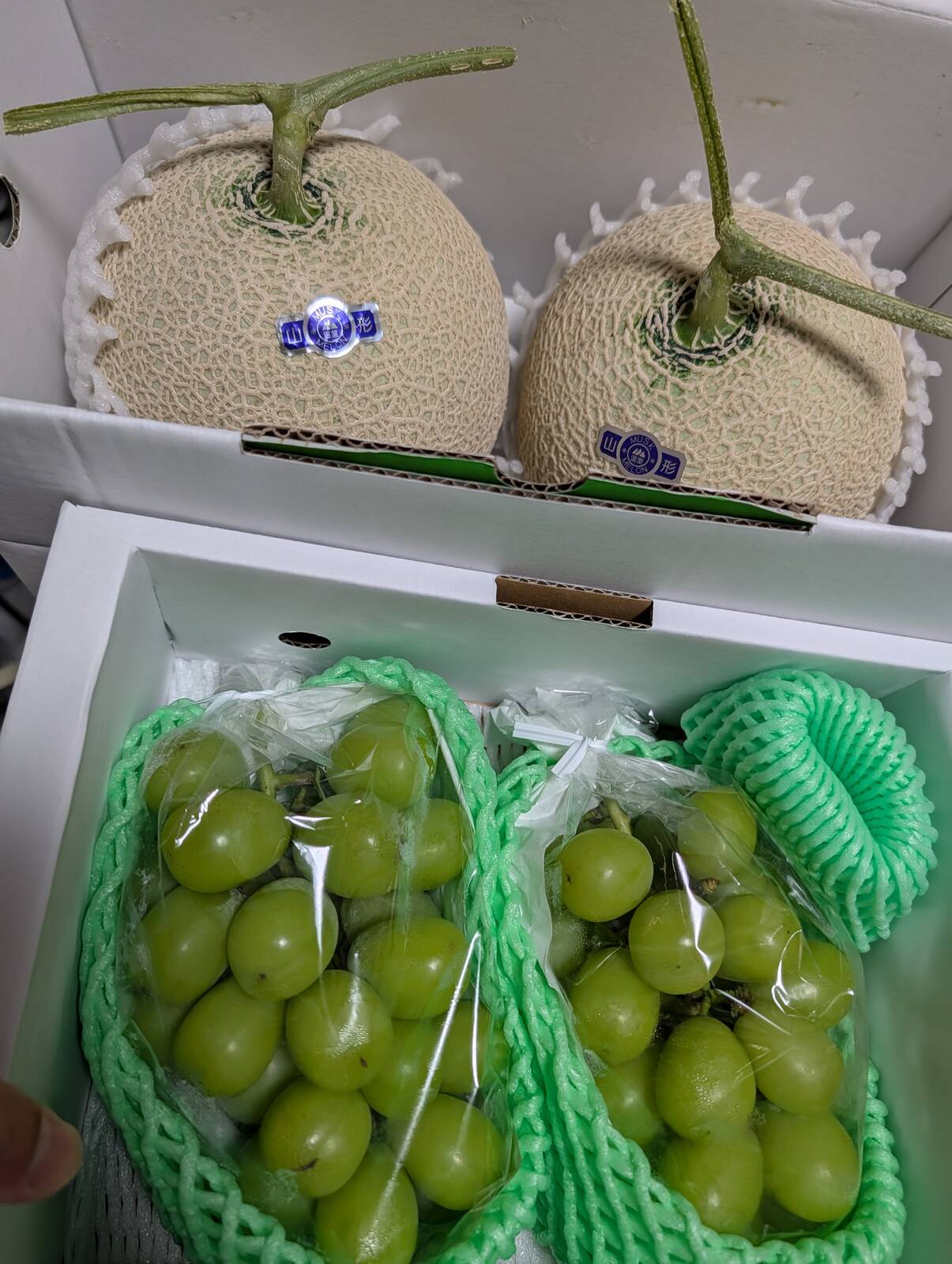 今月のふるさと納税返礼品