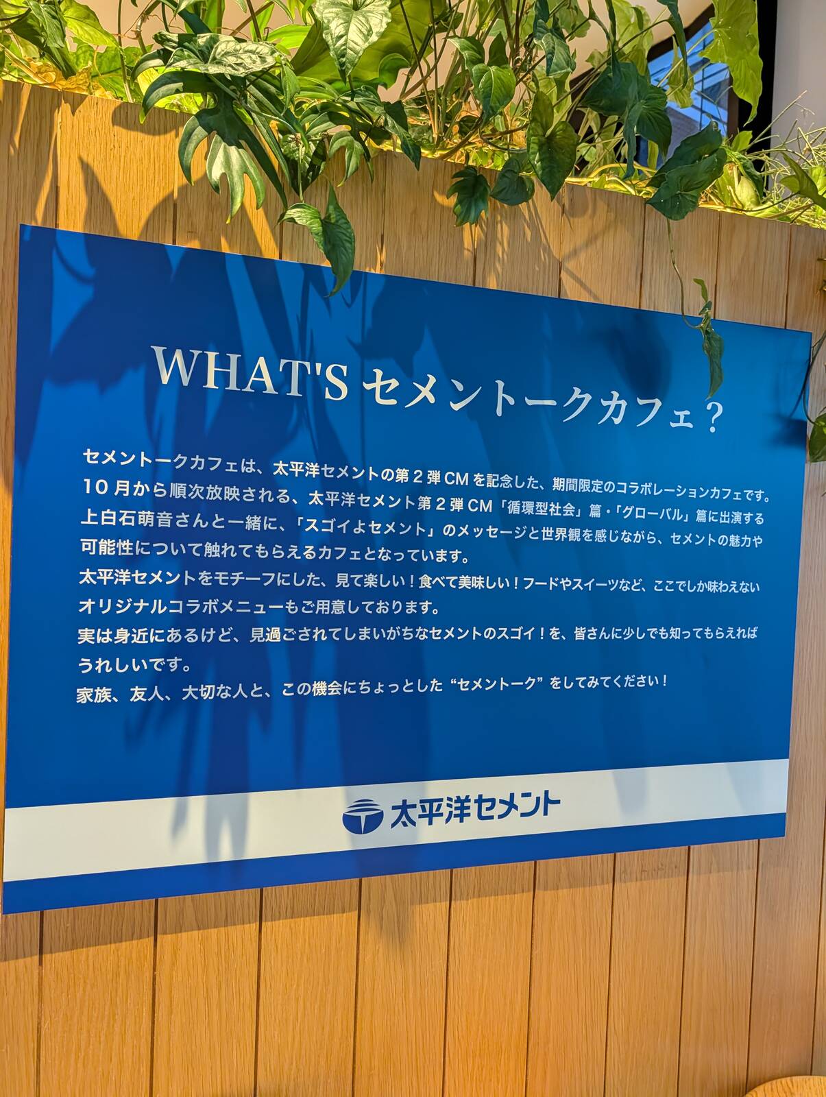 セメントークカフェ