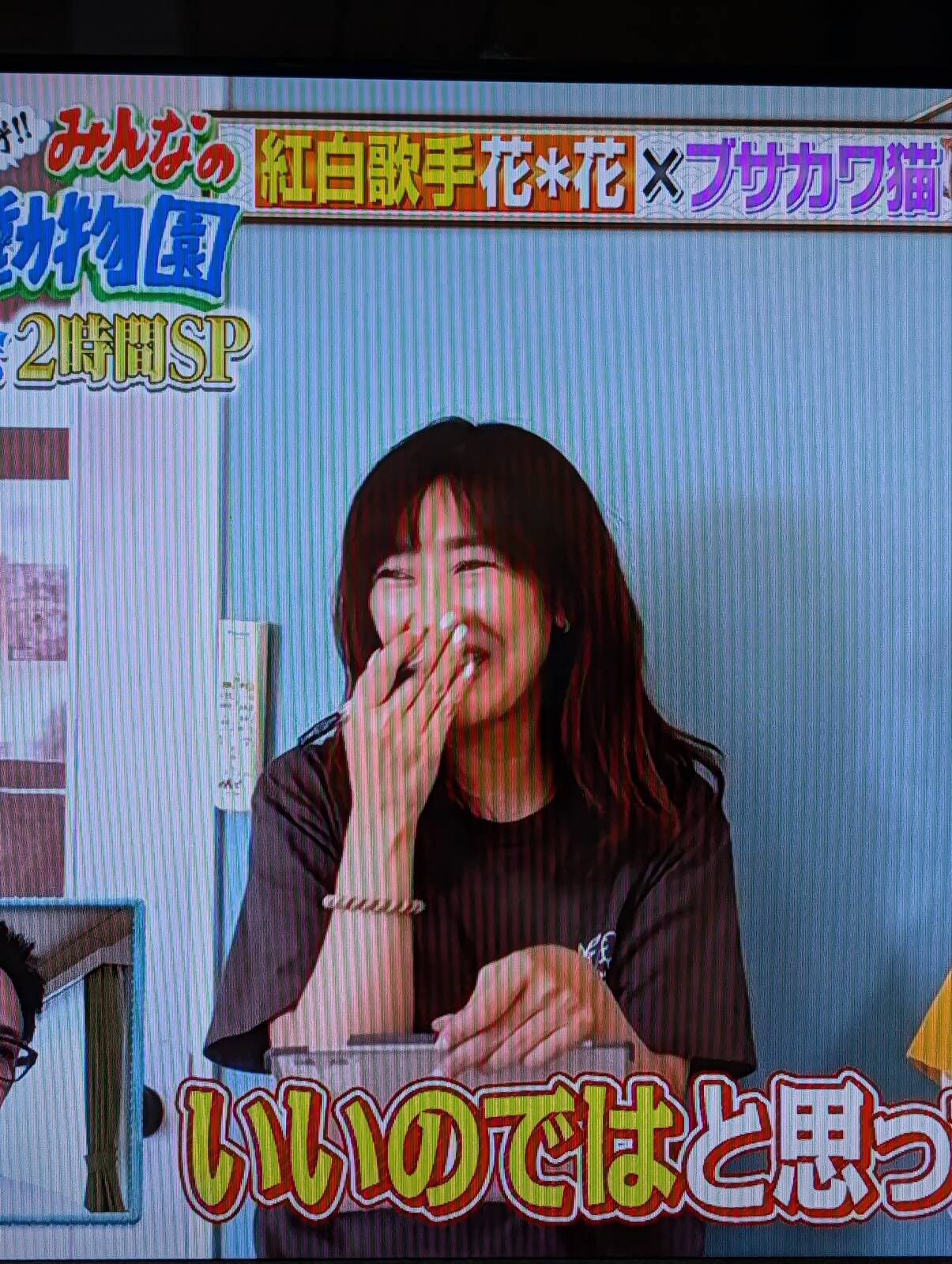 本日の推し