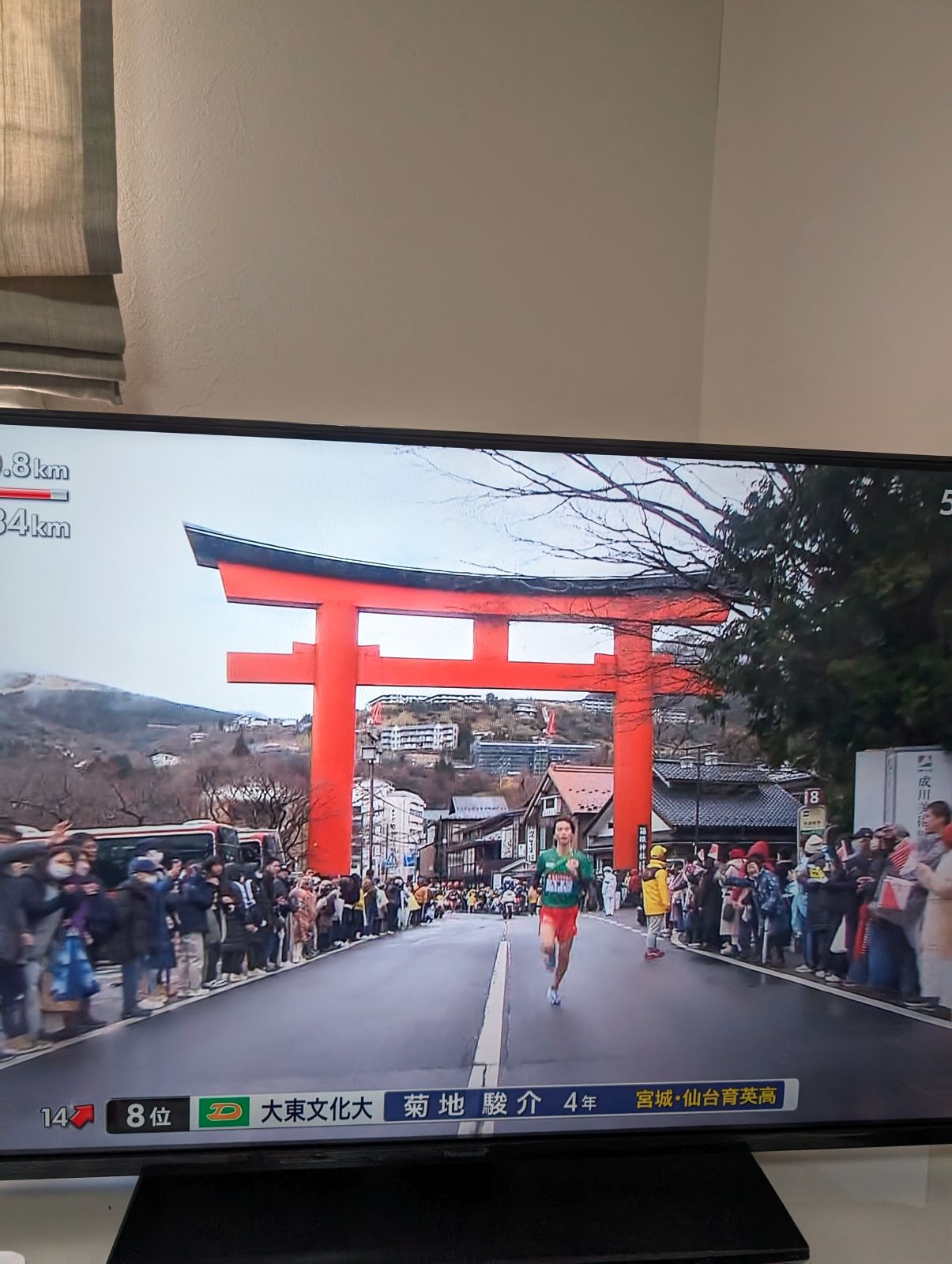 箱根神社の大鳥居