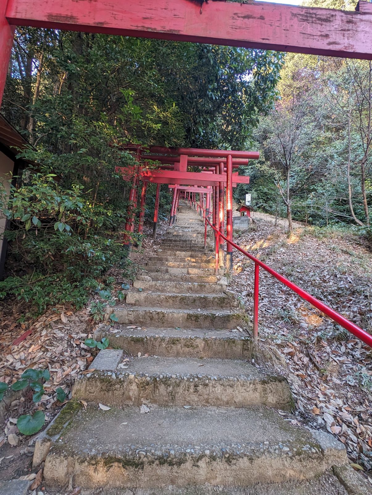 裏手の階段