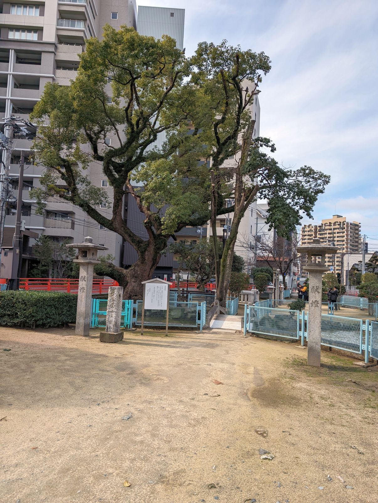 向かいの神社