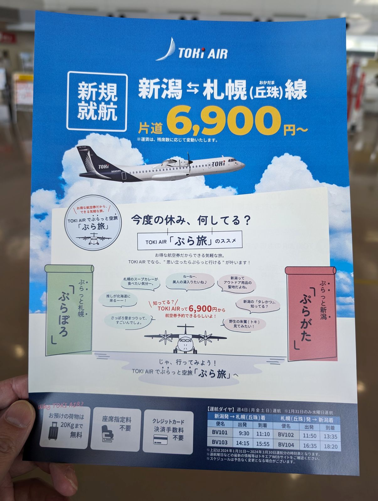 新規就航線