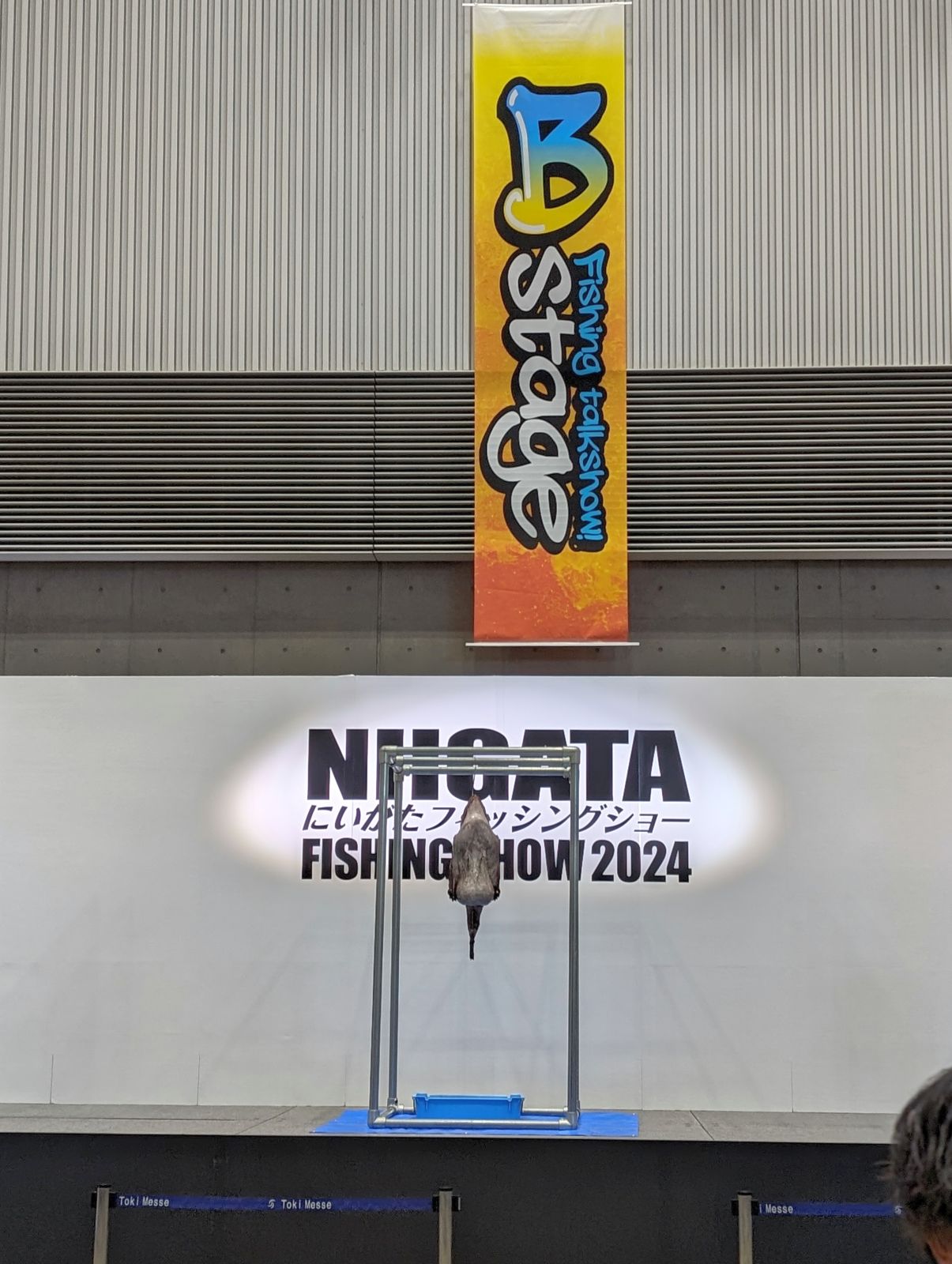 あんこう