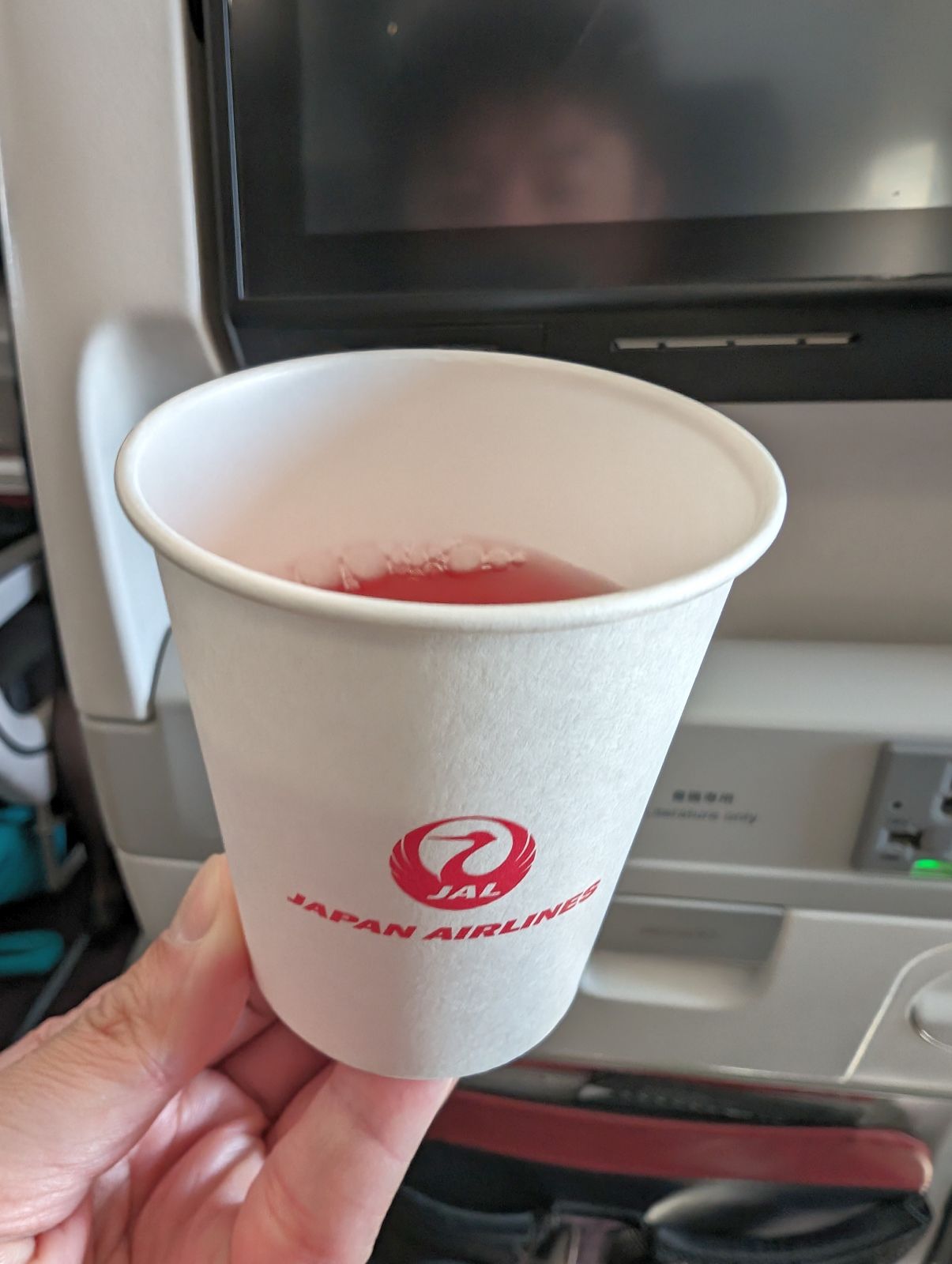 本日のドリンク
