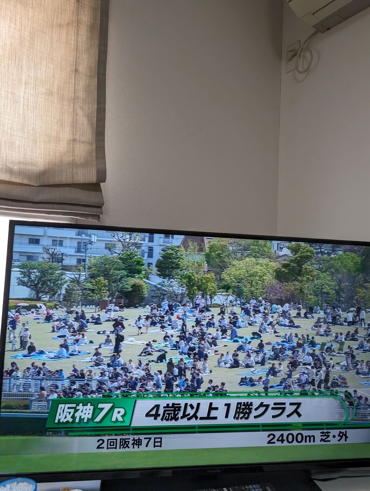 阪神競馬場