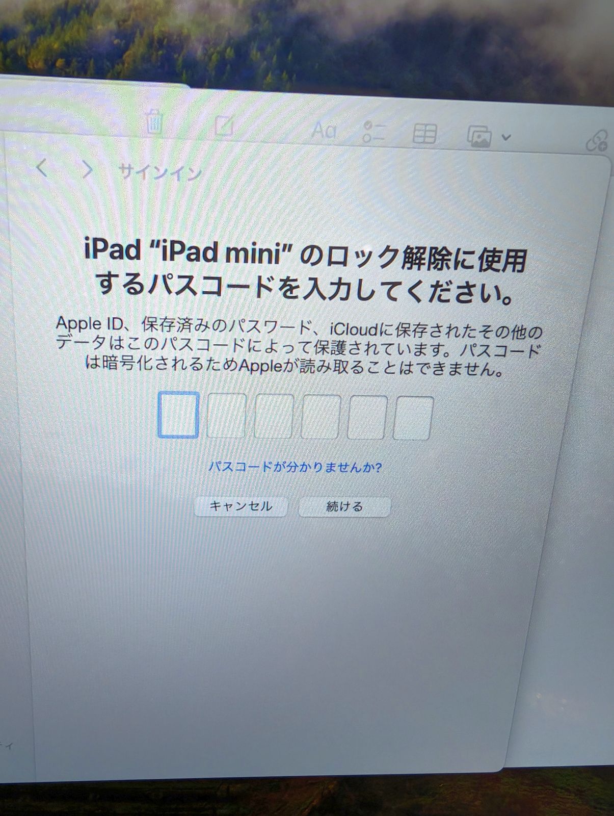 iPad miniのロック解除に使用するパスコード