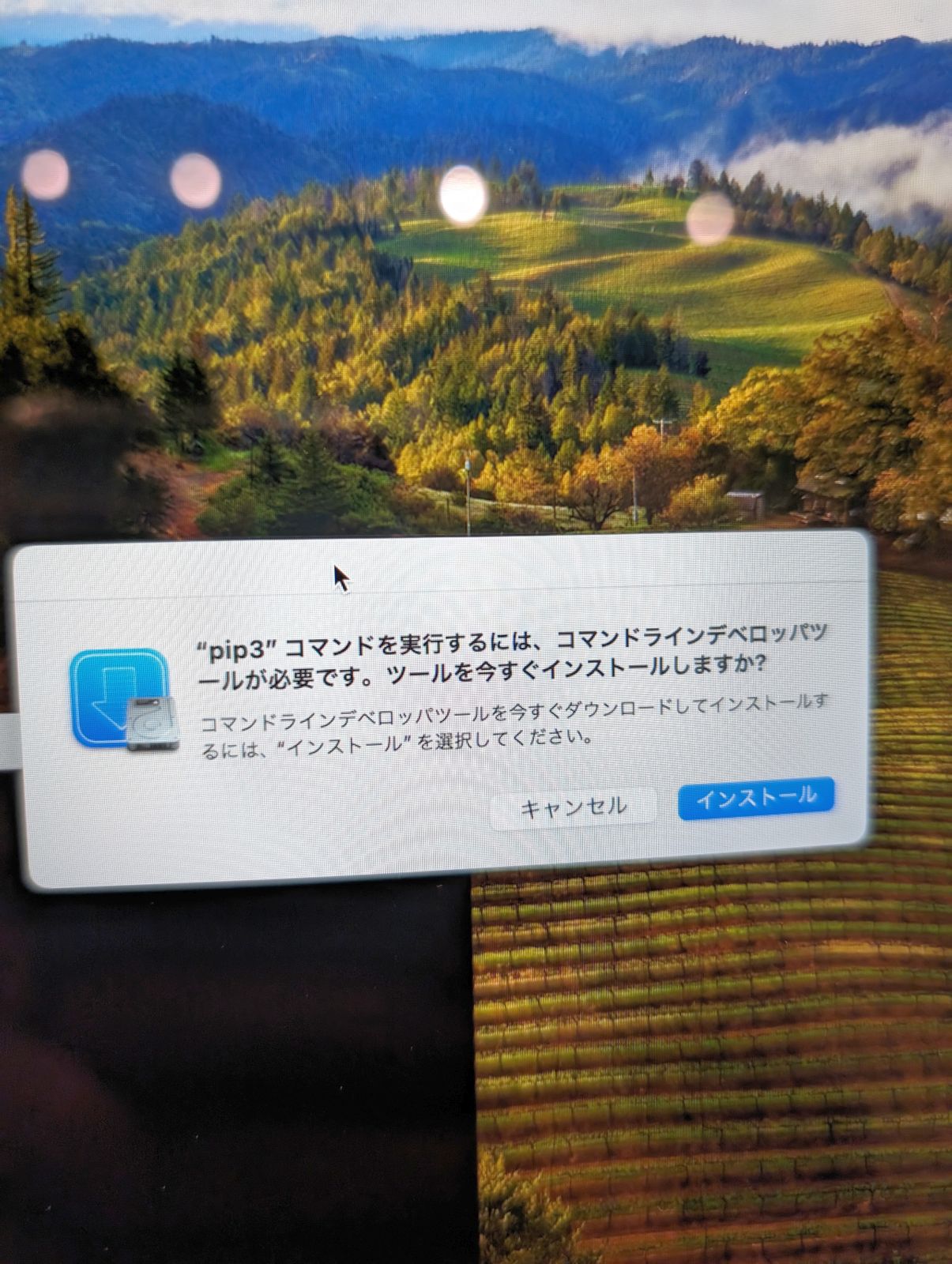 コマンドラインデベロッパツール