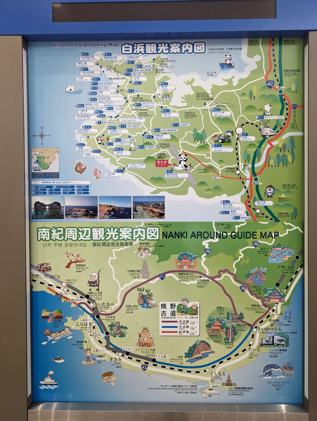 観光案内図