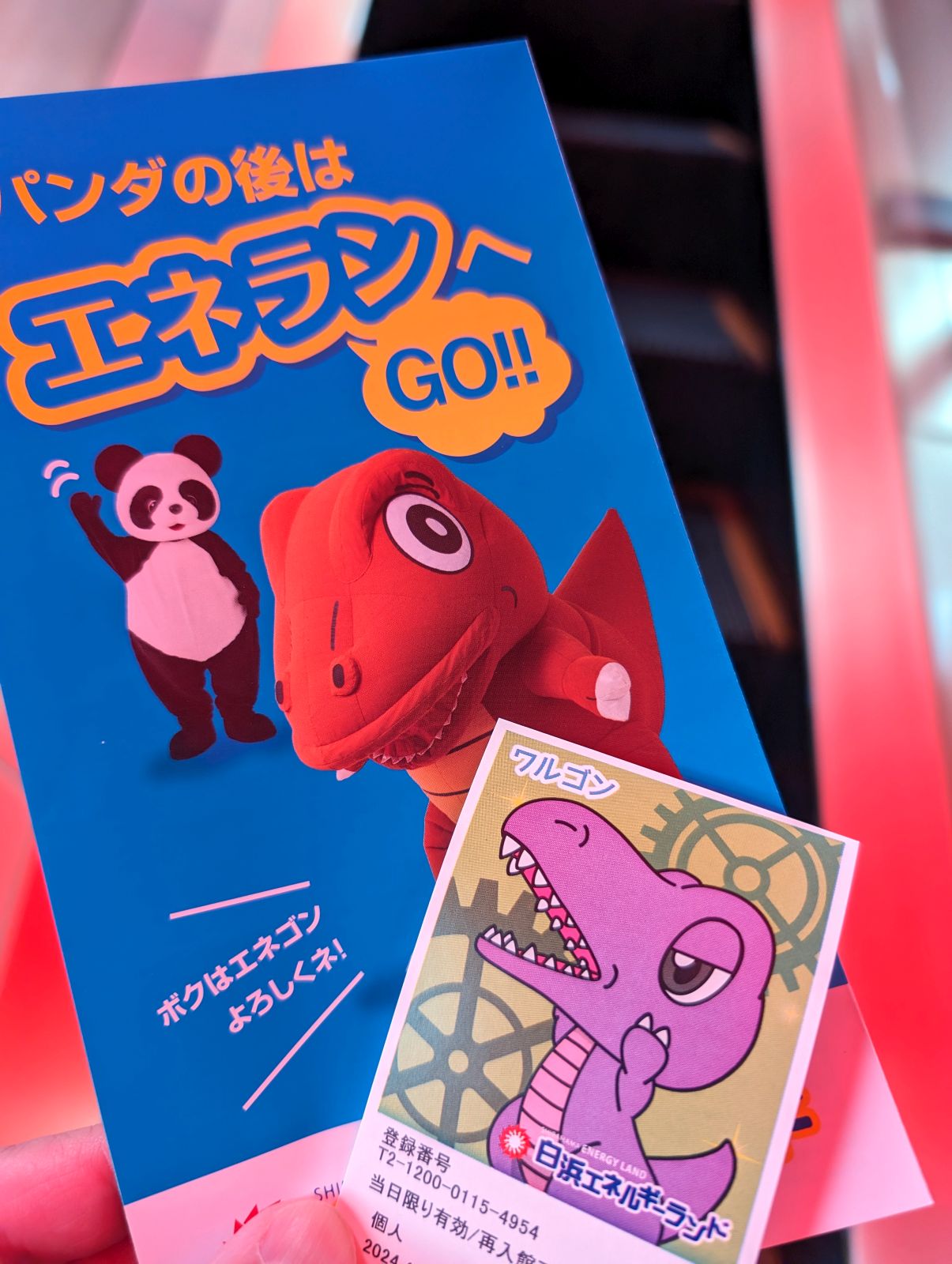 パンダの後はエネランへGO!!